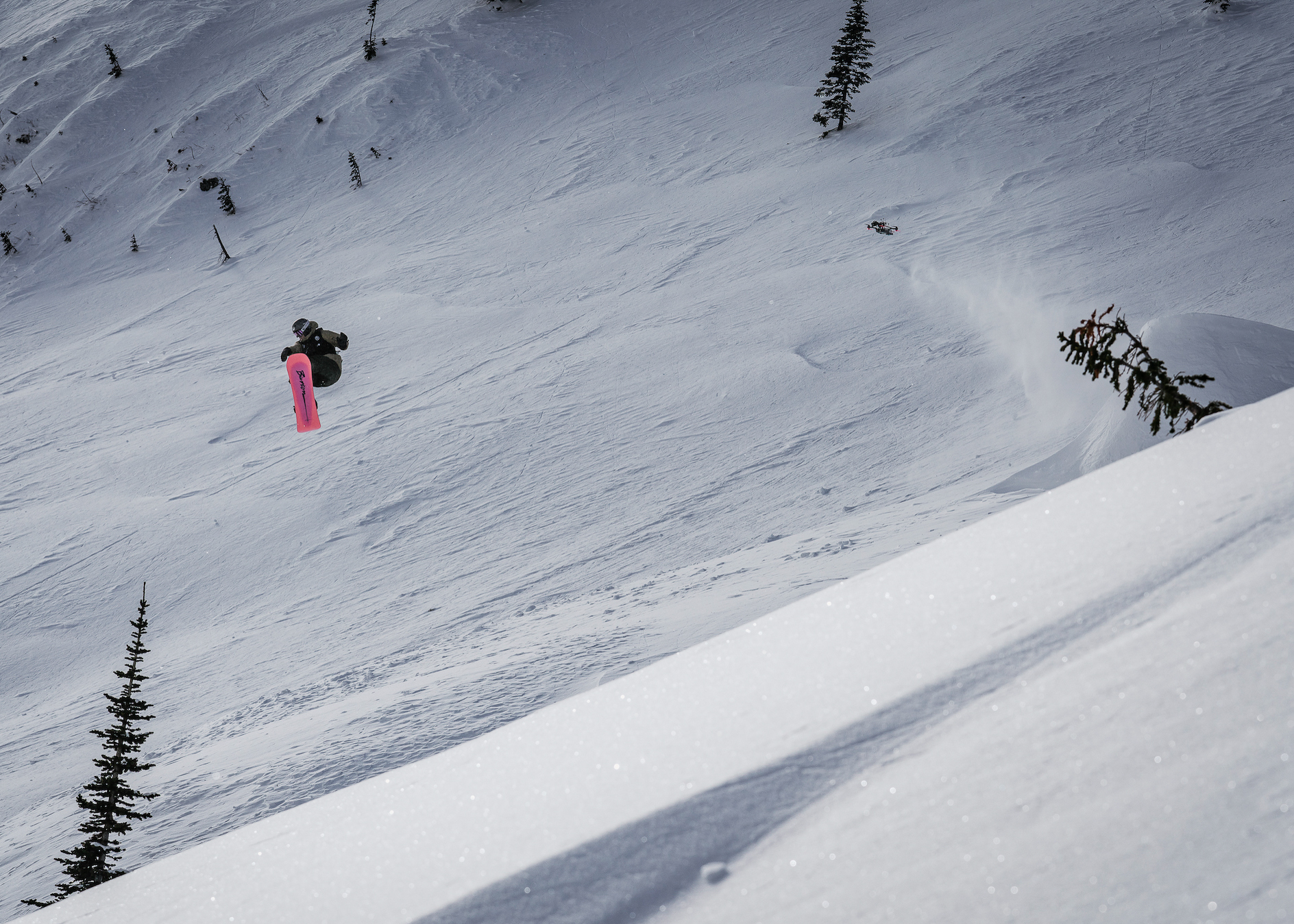 Natural Selection Baldface 2022