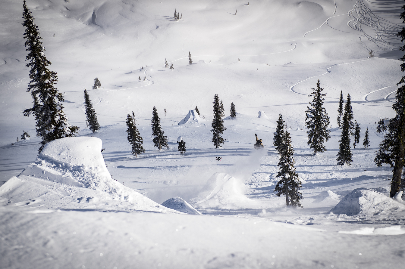 Natural Selection Baldface 2022