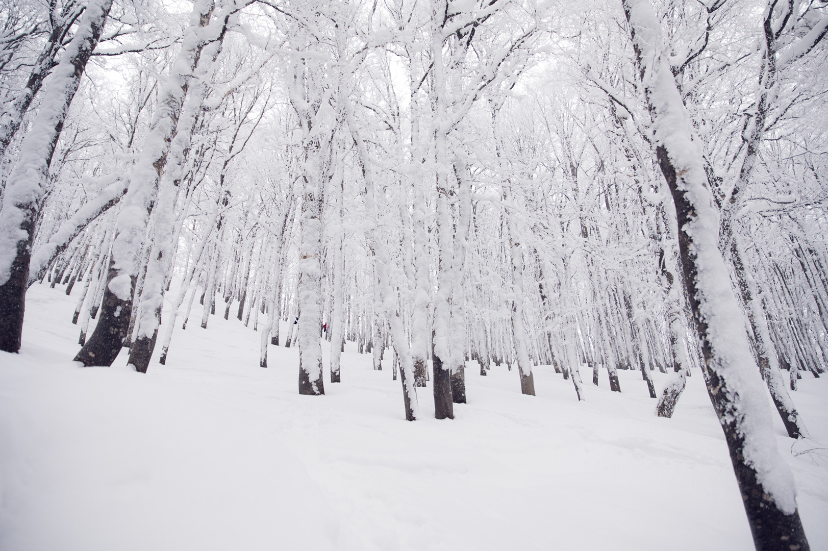 Bosnia_SnowboarderMBM_Roadtrip_Foto_JakeTerry2