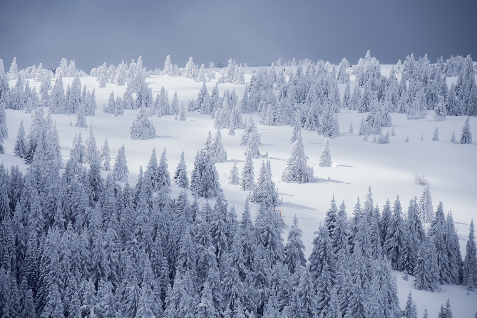 Serbien_SnowboarderMBM_Roadtrip_Foto_JakeTerry9