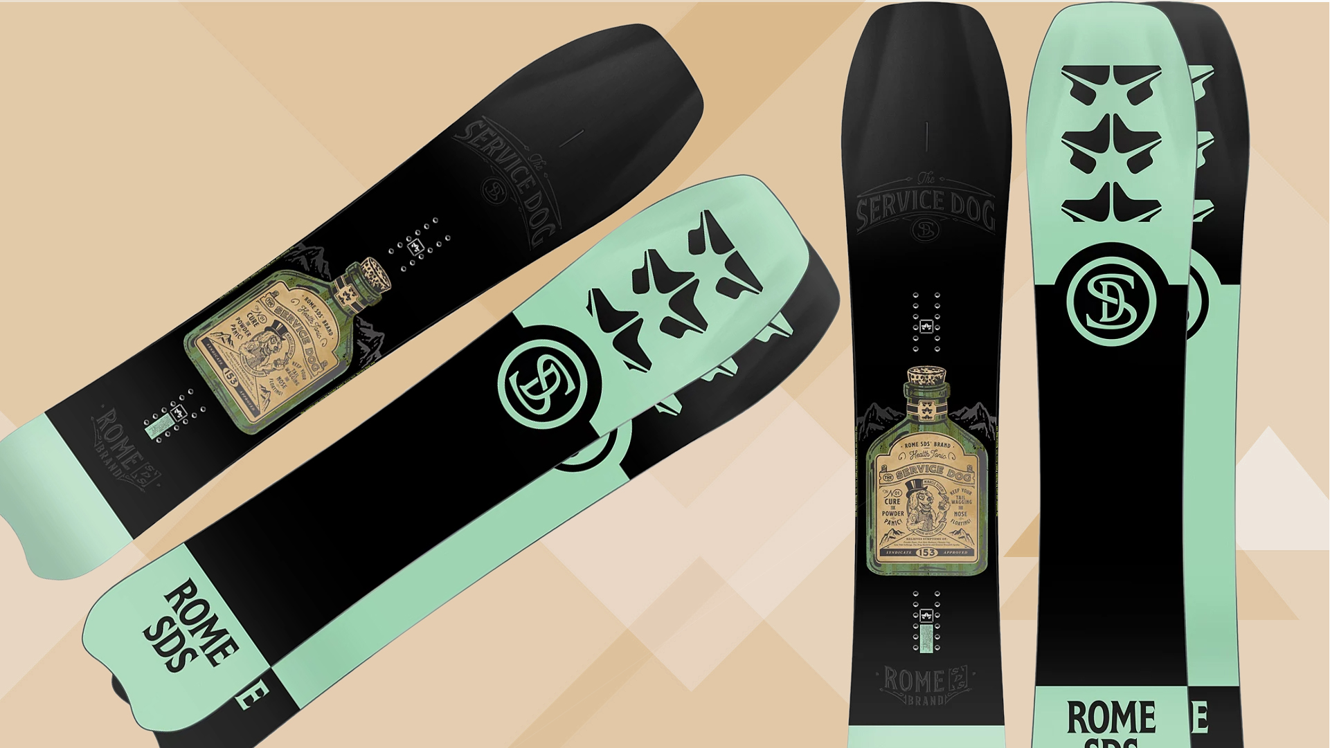 Rome Service Dog 2022/23