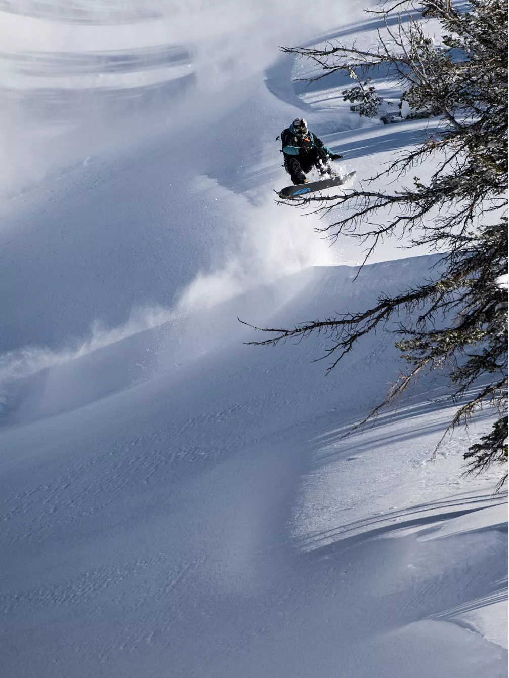 Lib Tech Golden Orca