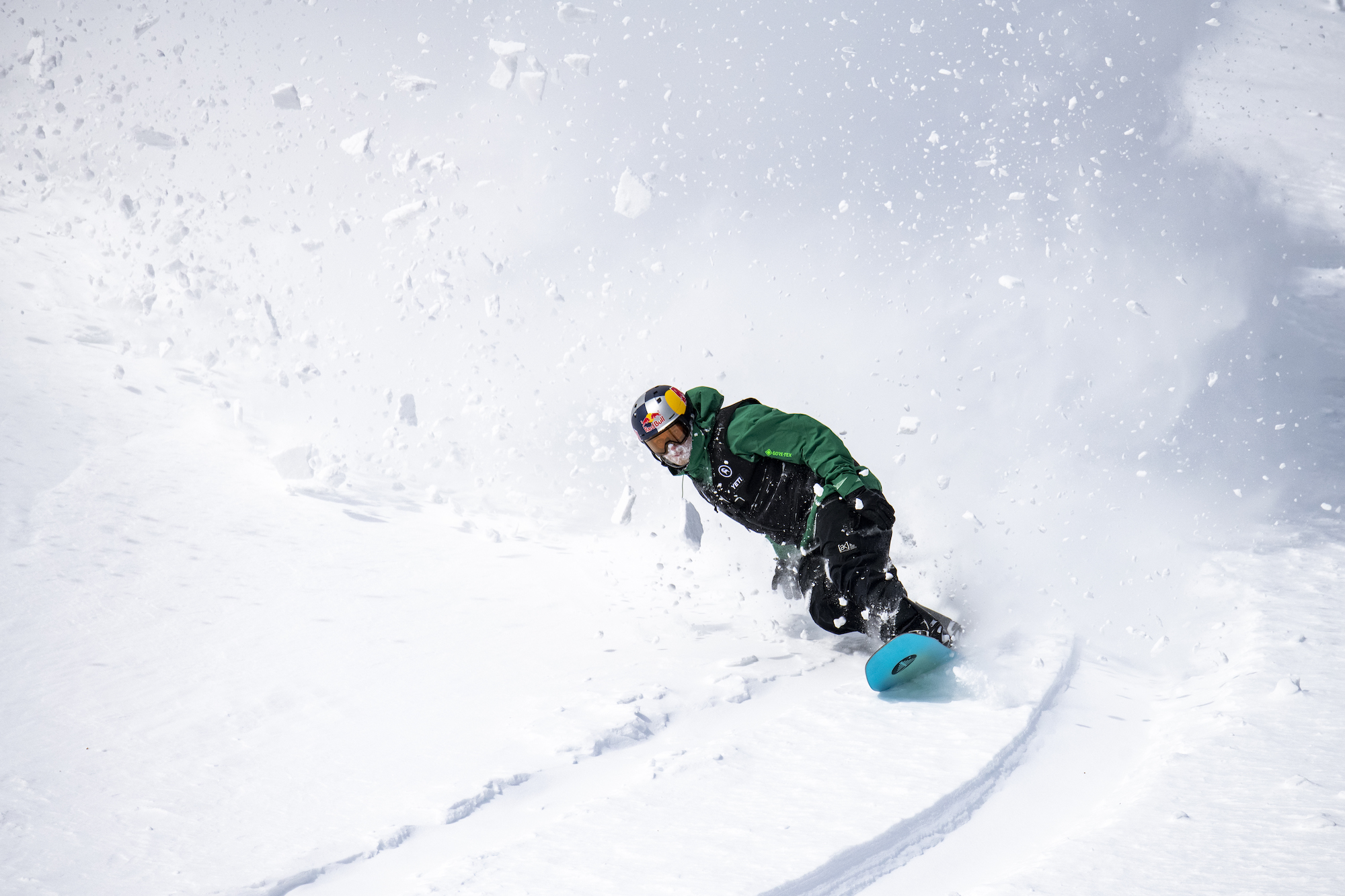 Natural Selection Tour