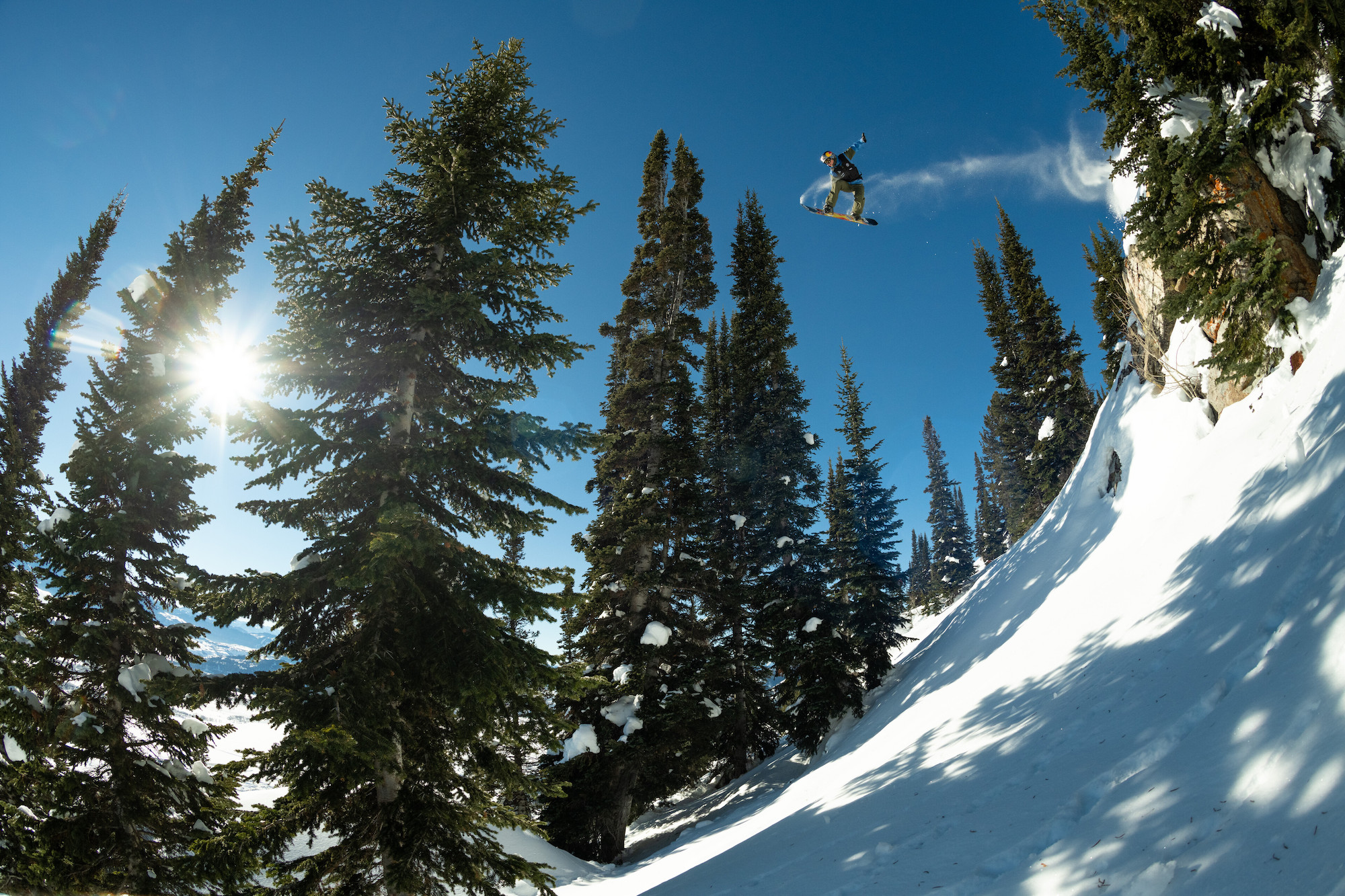 Natural Selection Tour