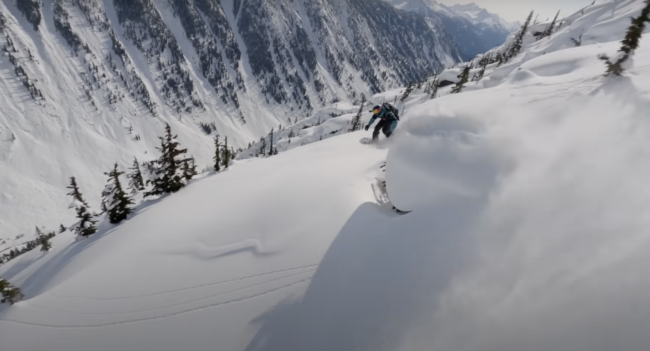 Natural Selection Tour