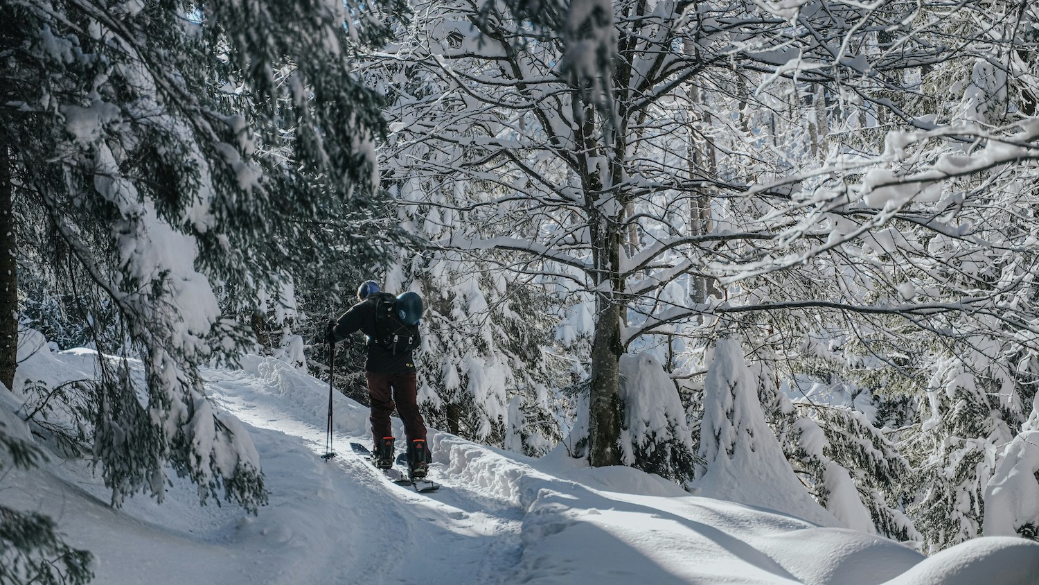 Splitboard Foto: Chris Rosiak