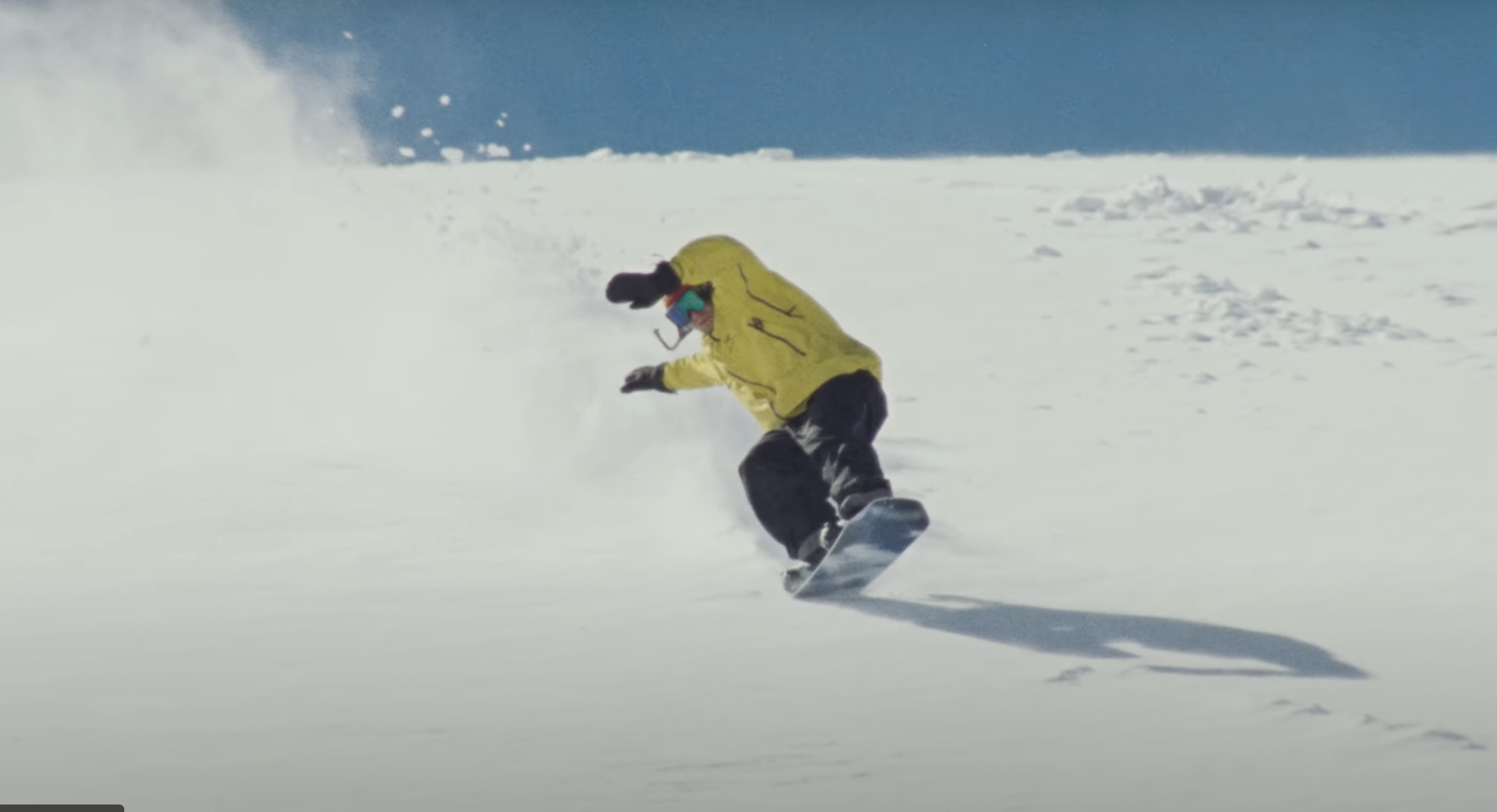 Severin Van Der Meer