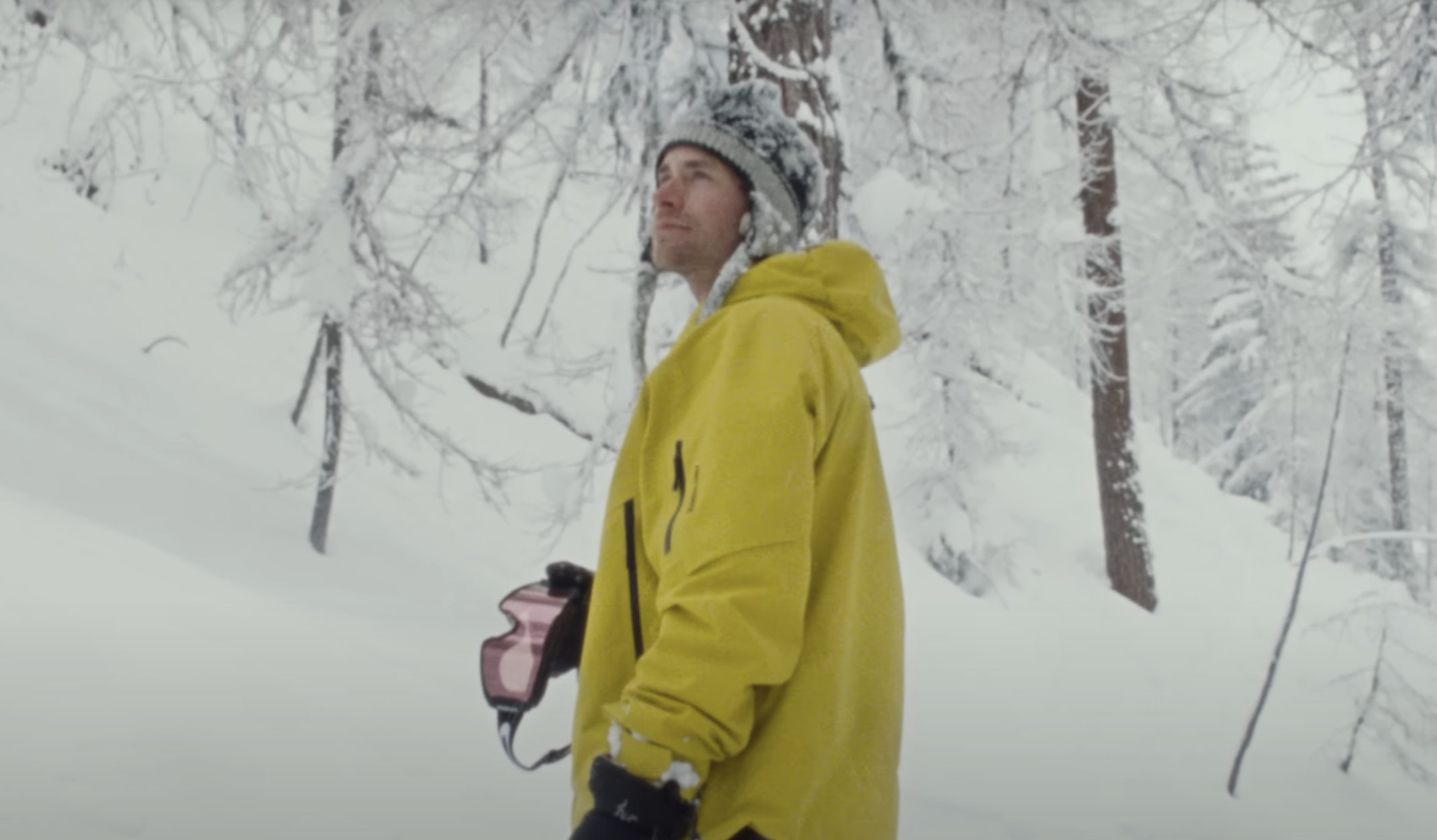 Severin Van Der Meer