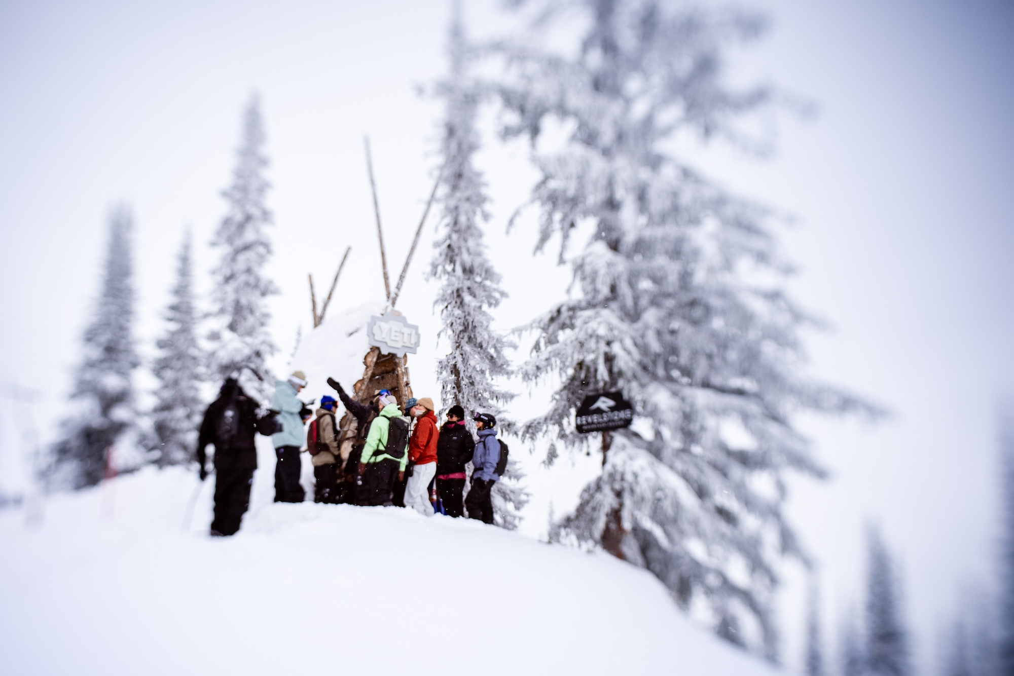 Natural Selection Revelstoke