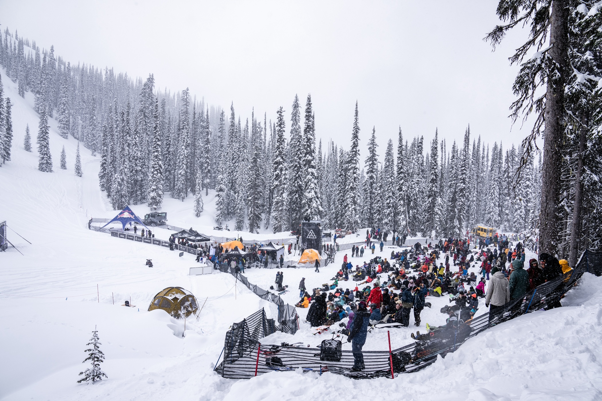 Natural Selection Revelstoke 2025