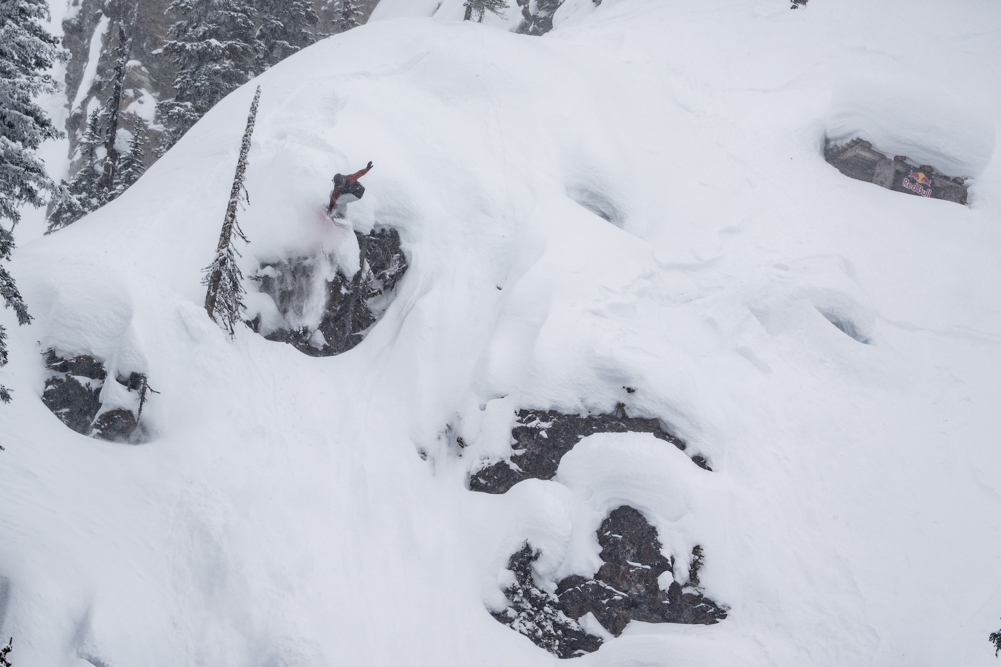 Natural Selection Tour 2026