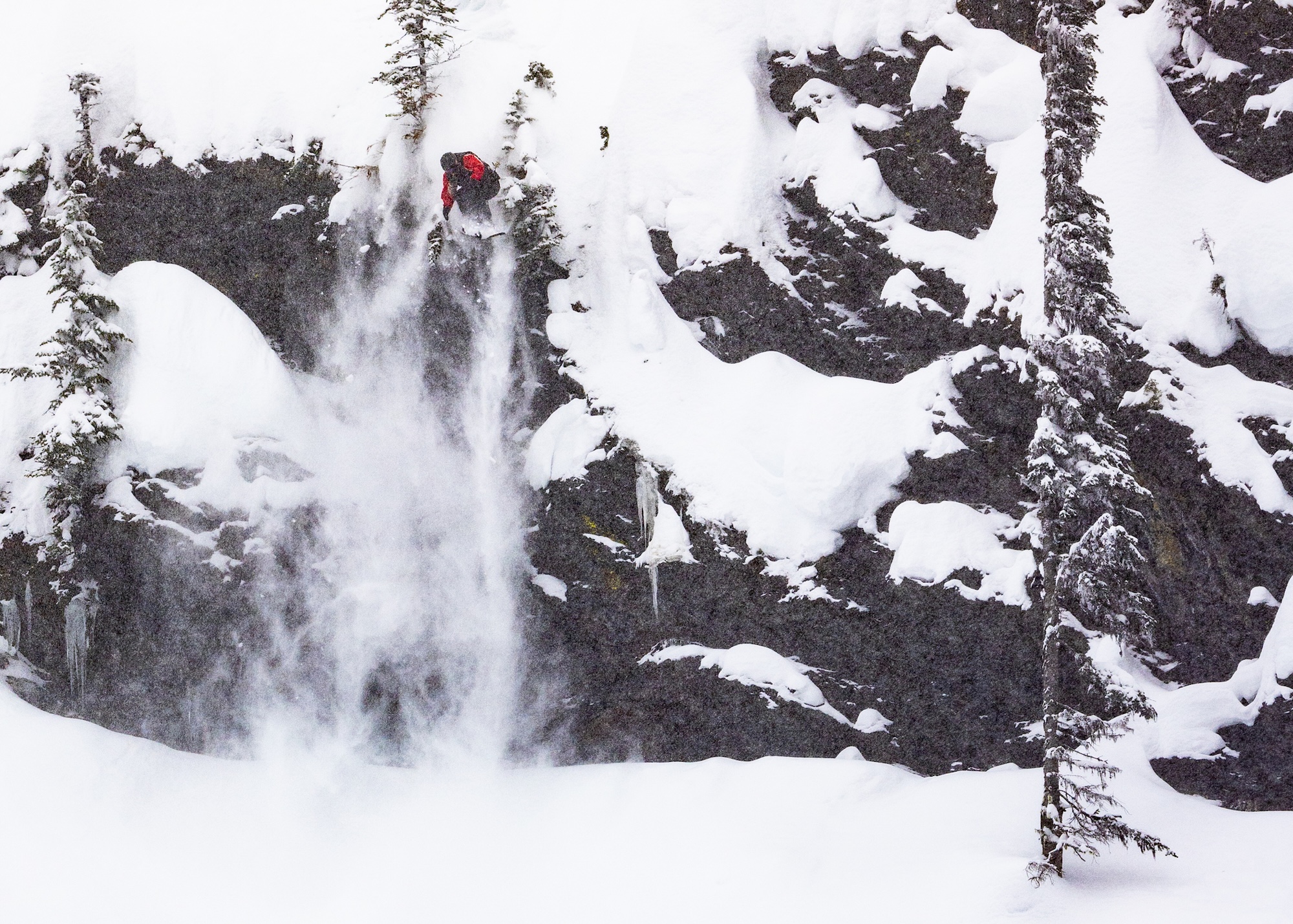 Natural Selection Tour 2026