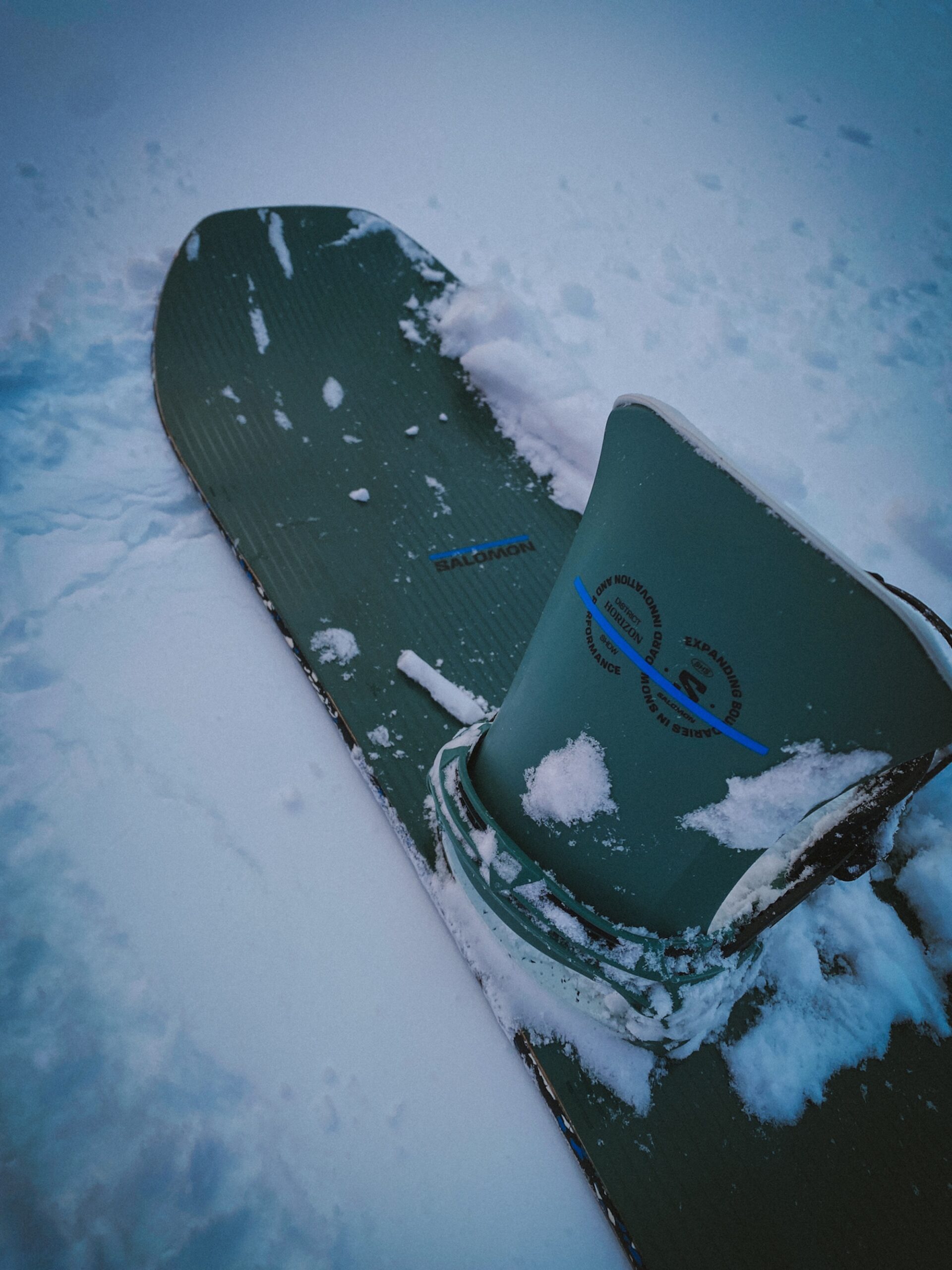 Salomon District Pro Horizon Bindung Test