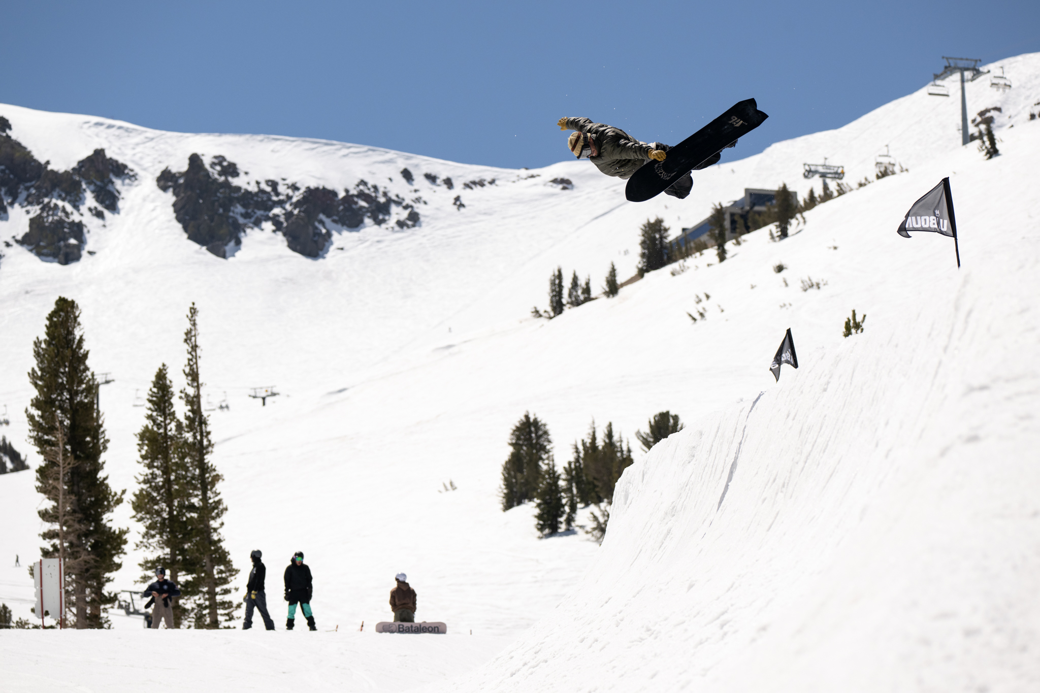 Lib Tech x Mayhem Collection