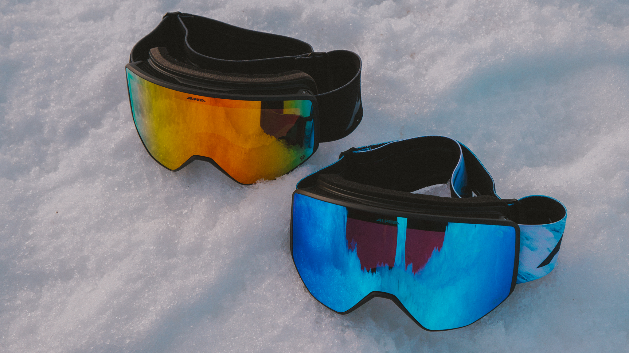 Alpina Venet Goggles