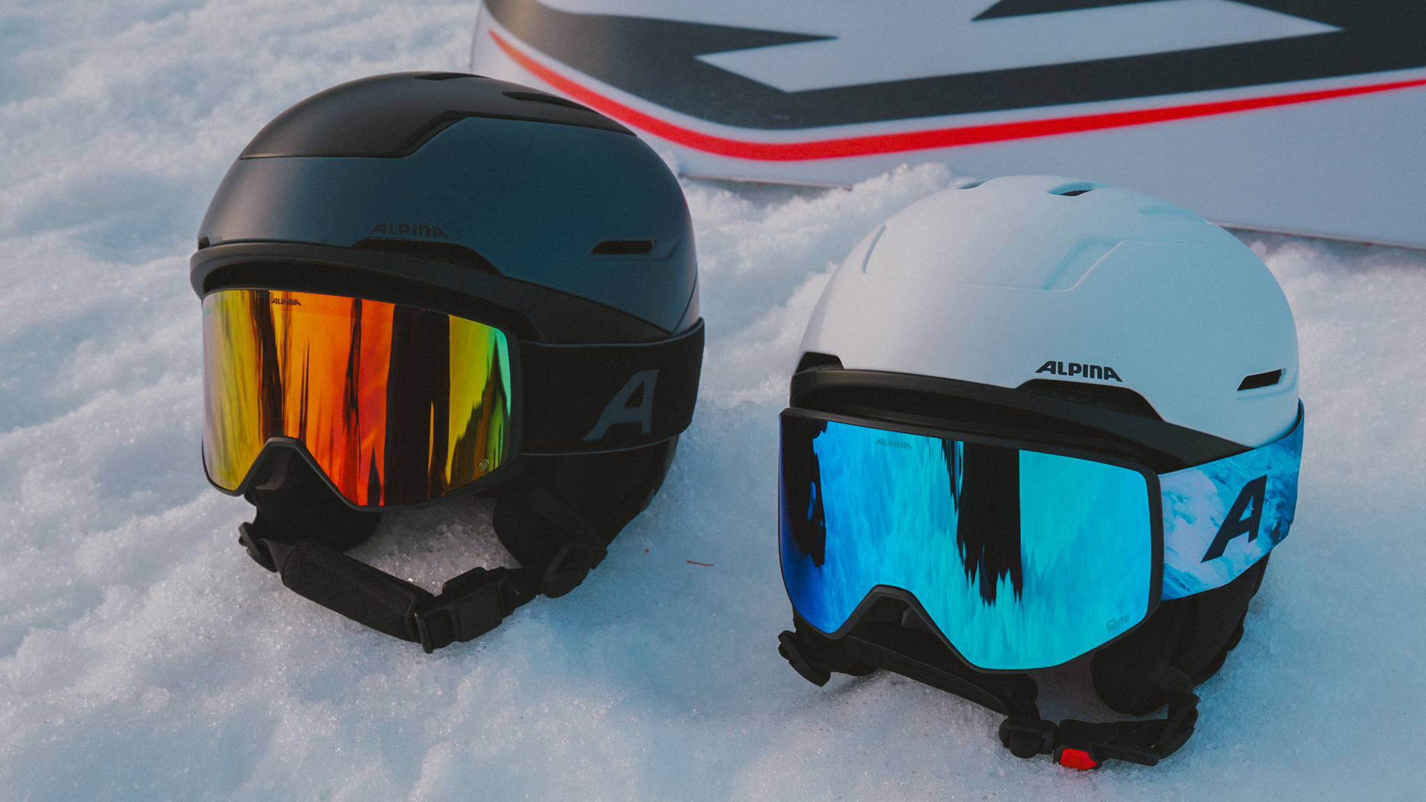 Alpina Venet Goggles