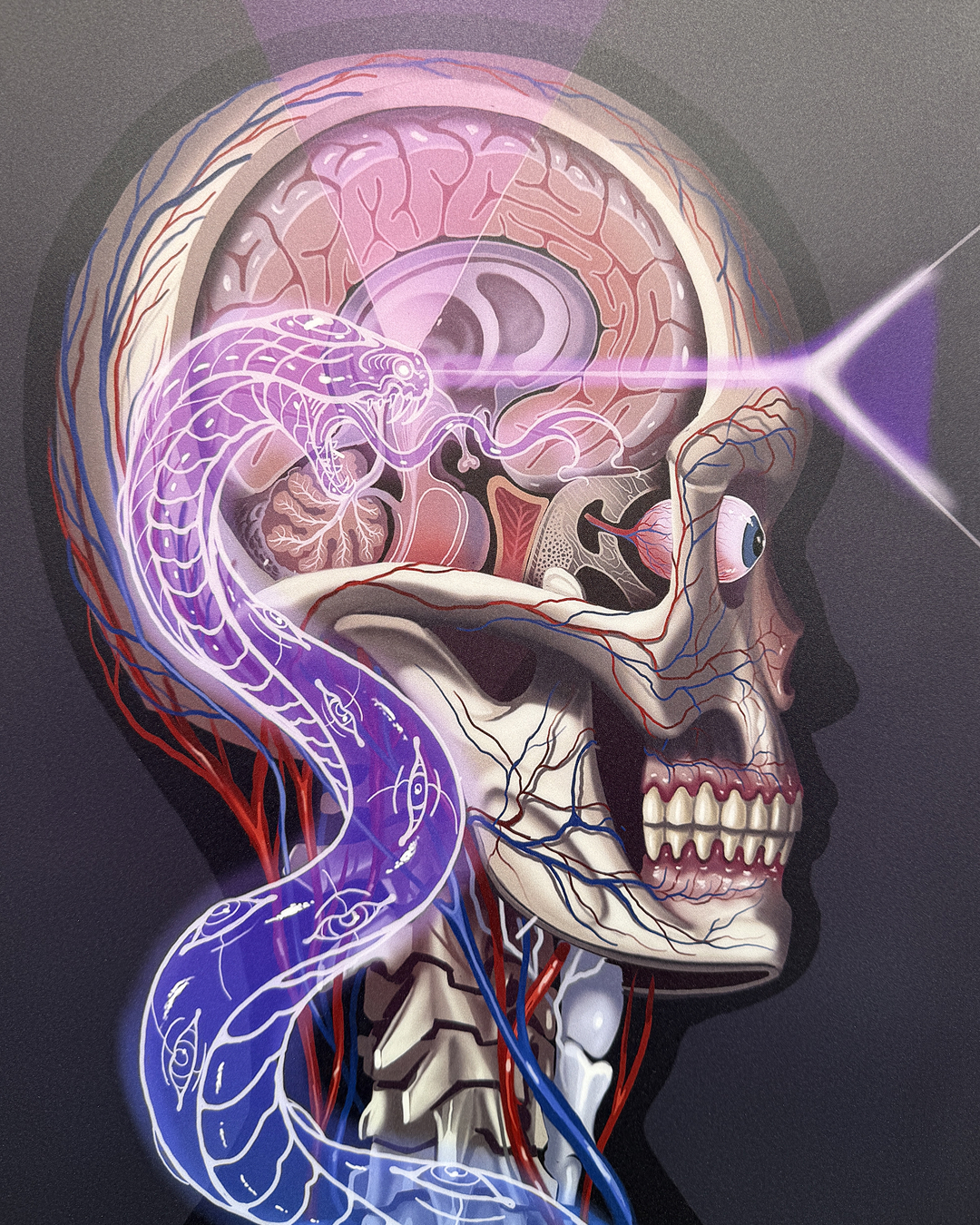 Burton x Nychos x Blue Tomato