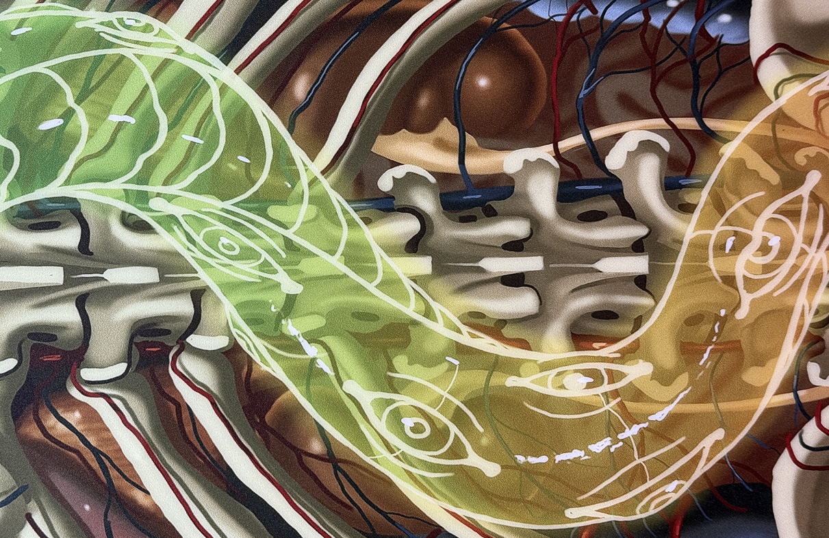 Burton x Nychos x Blue Tomato