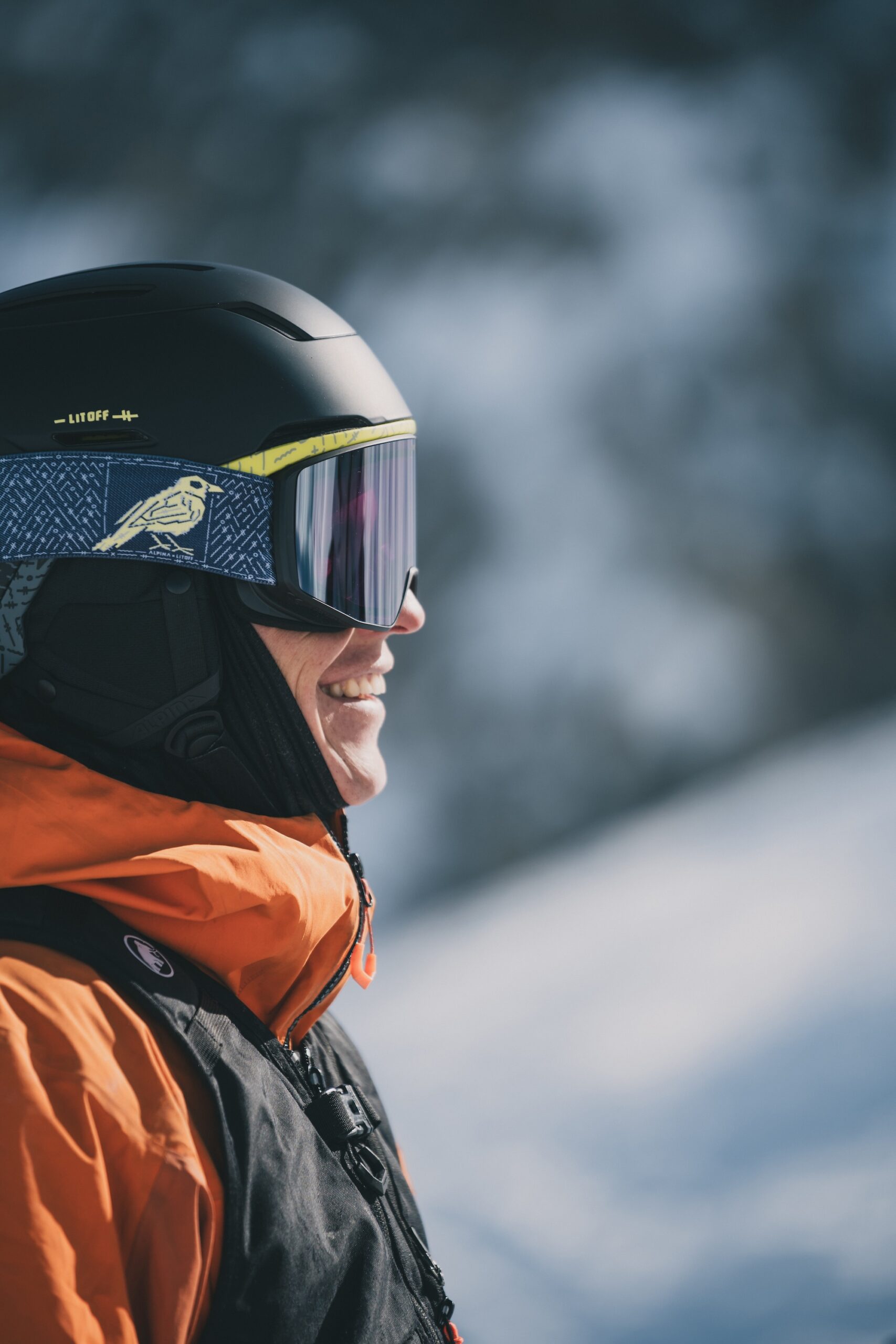 Test Alpina Venet Goggle