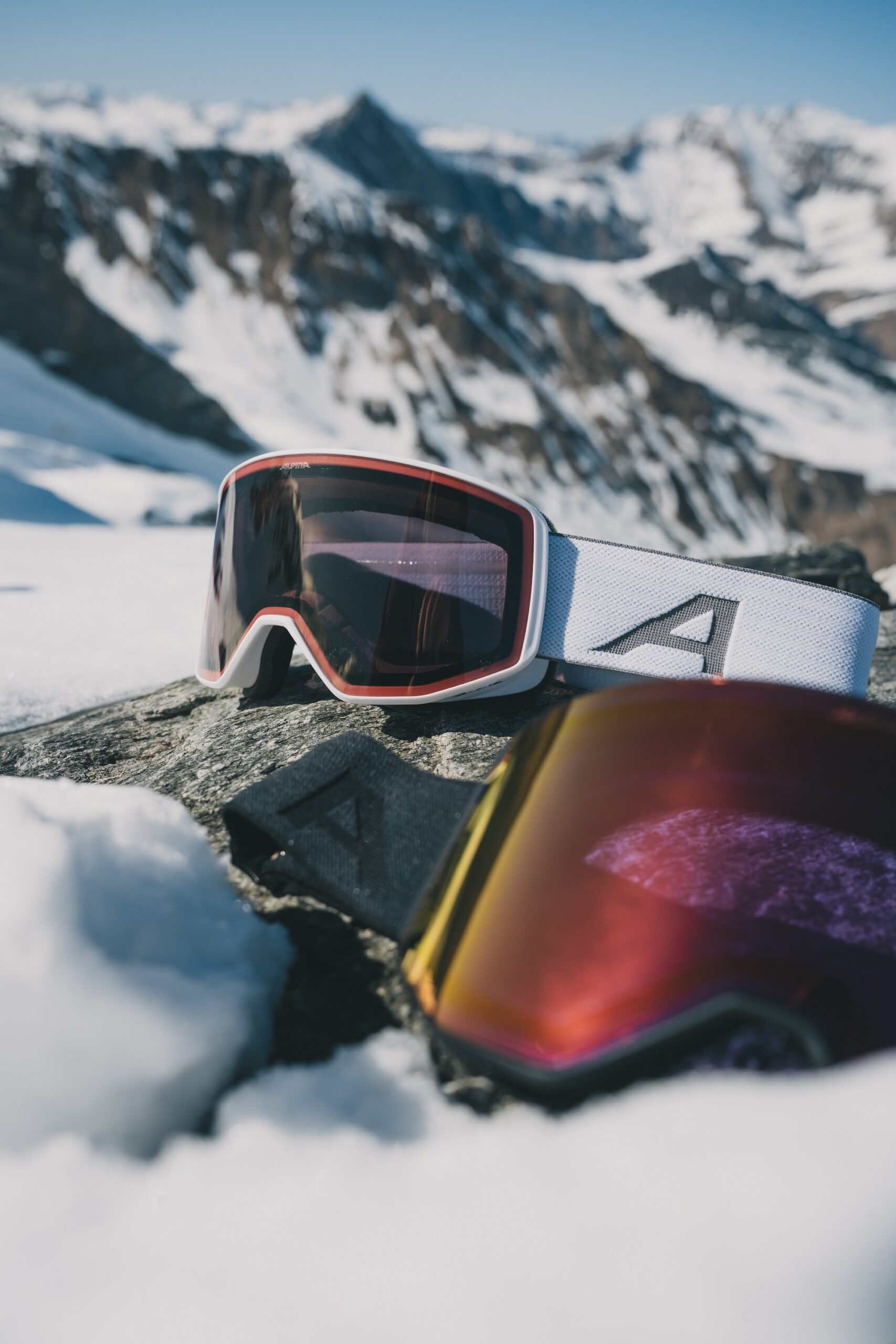 Test Alpina Venet Goggle