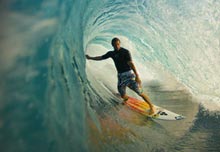 alex gray feature