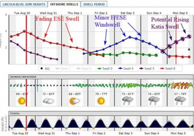 Swell forecast NY