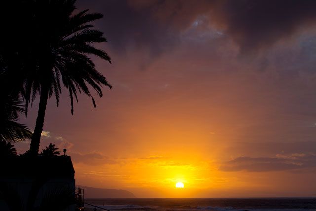 reef hawaiian pro 2011