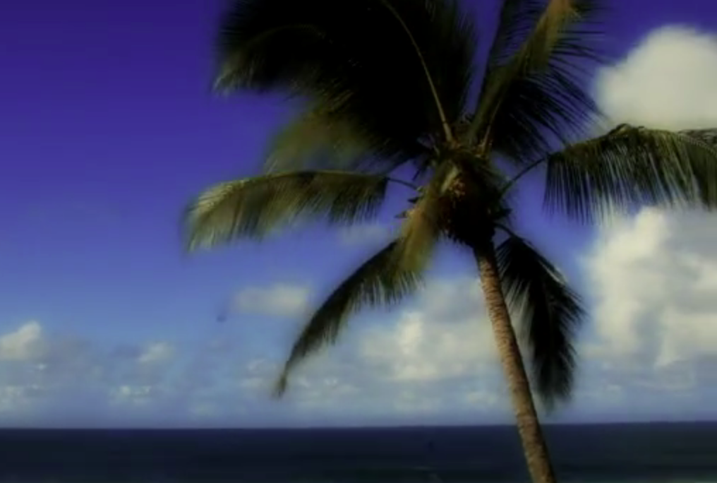 north shore