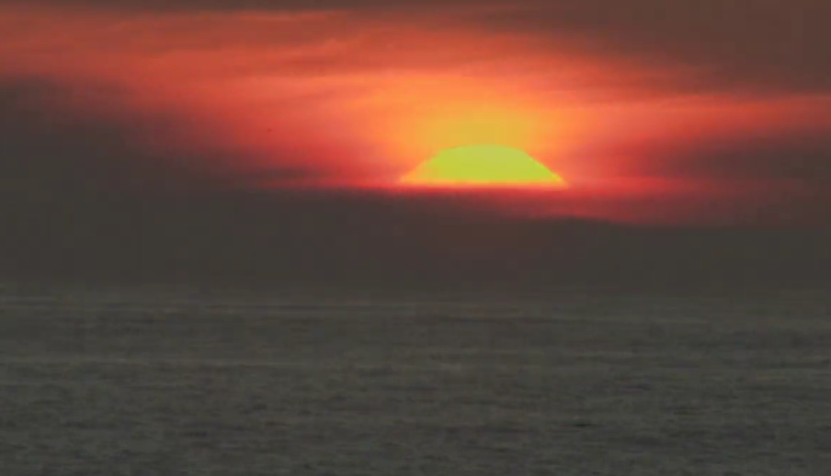 Nat Young Santa Cruz