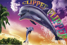 clipper_flipper
