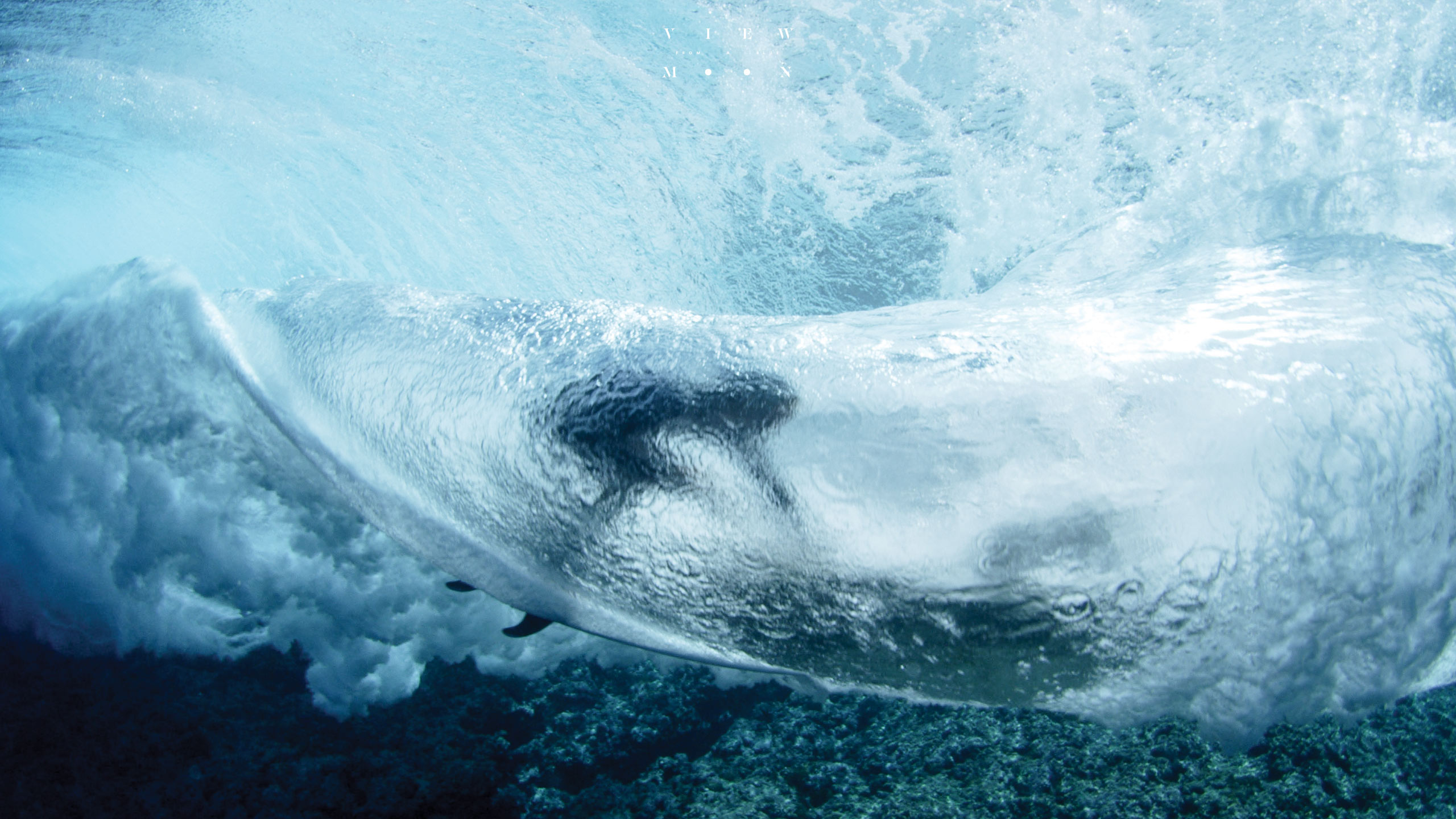 VFABM_6©Bainfarm_JohnJohnFlorence