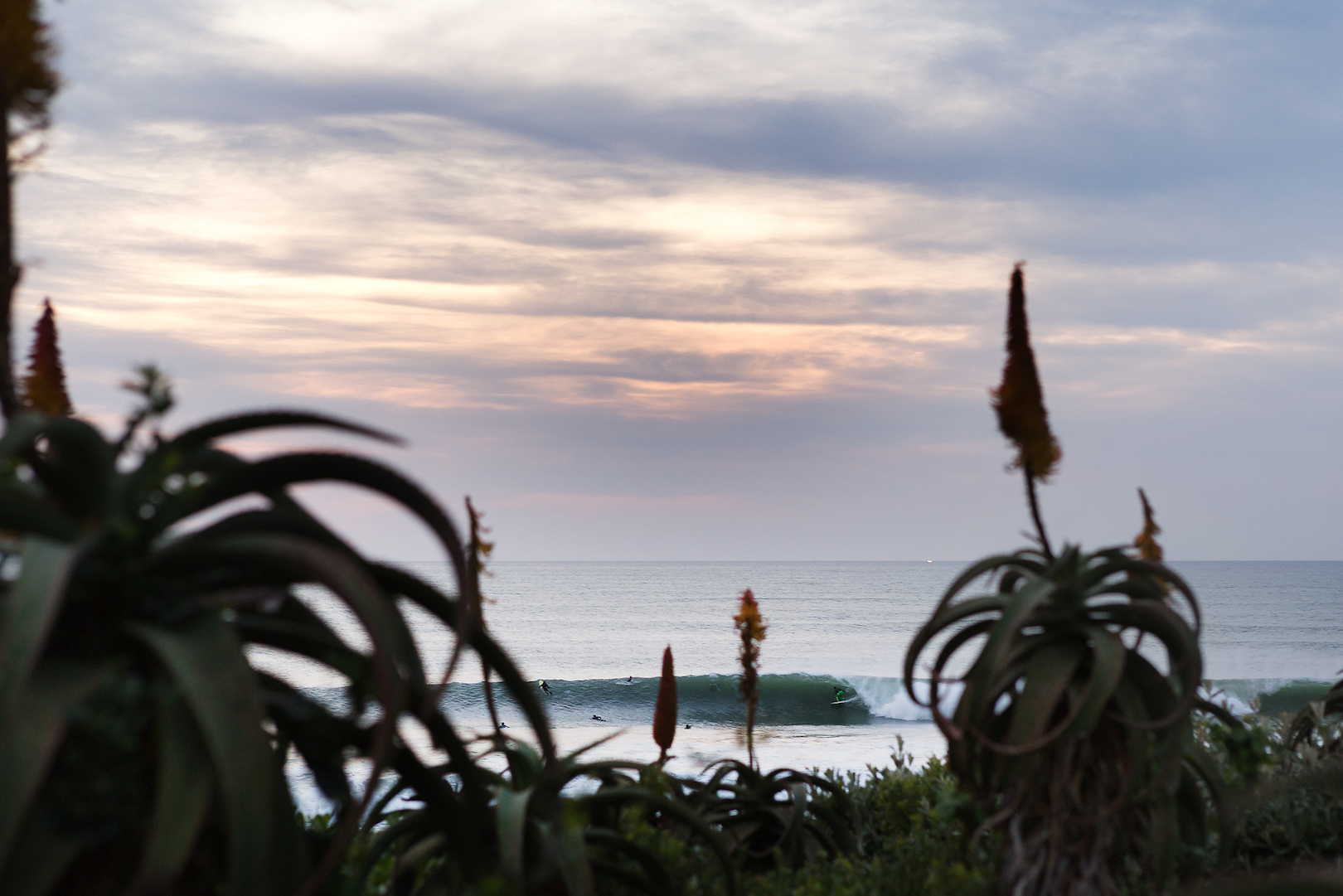 credit: WSL / Cestari credit: WSL / Cestari