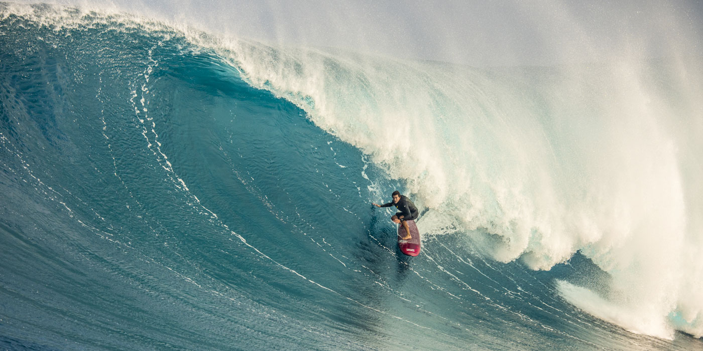 greg-long-organic greg-long-organic