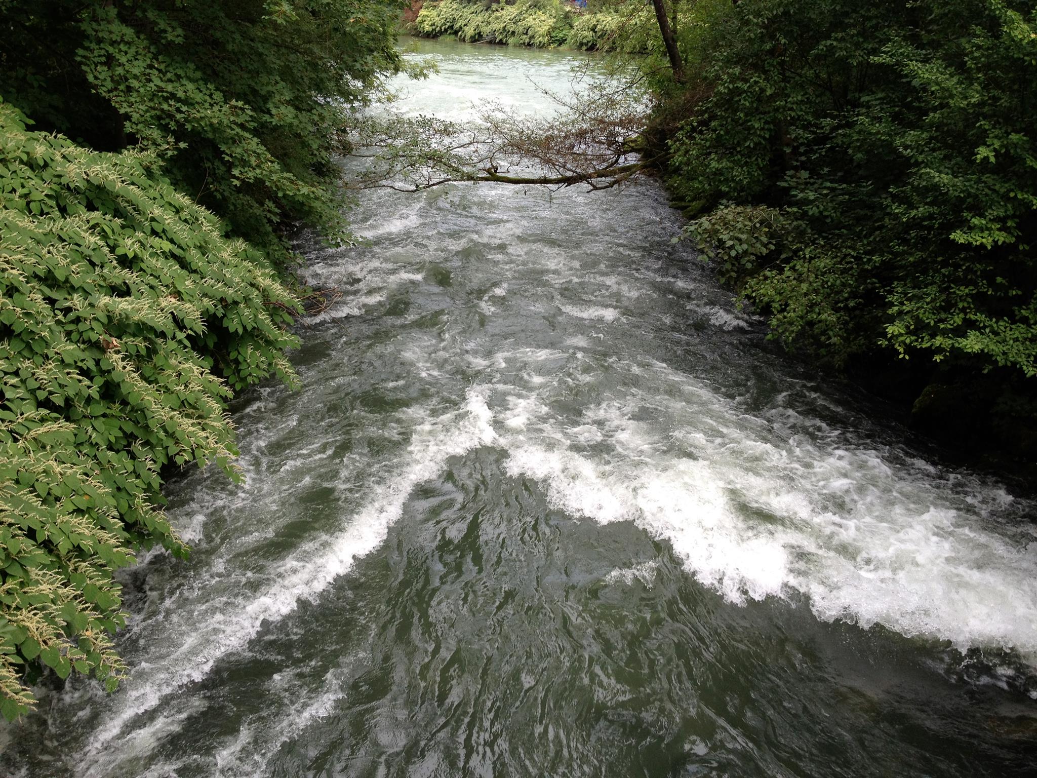 Surfing Wolfratshausen Surfing Wolfratshausen