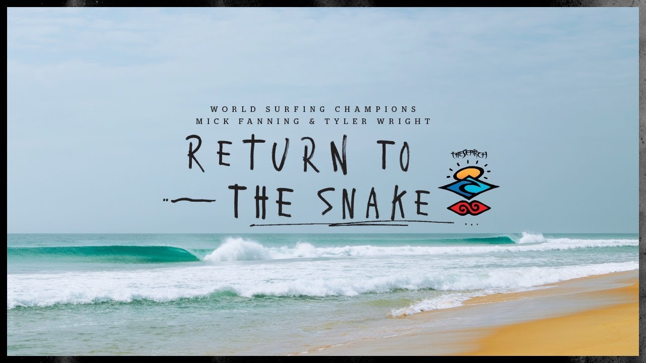 mick-fanning-snake