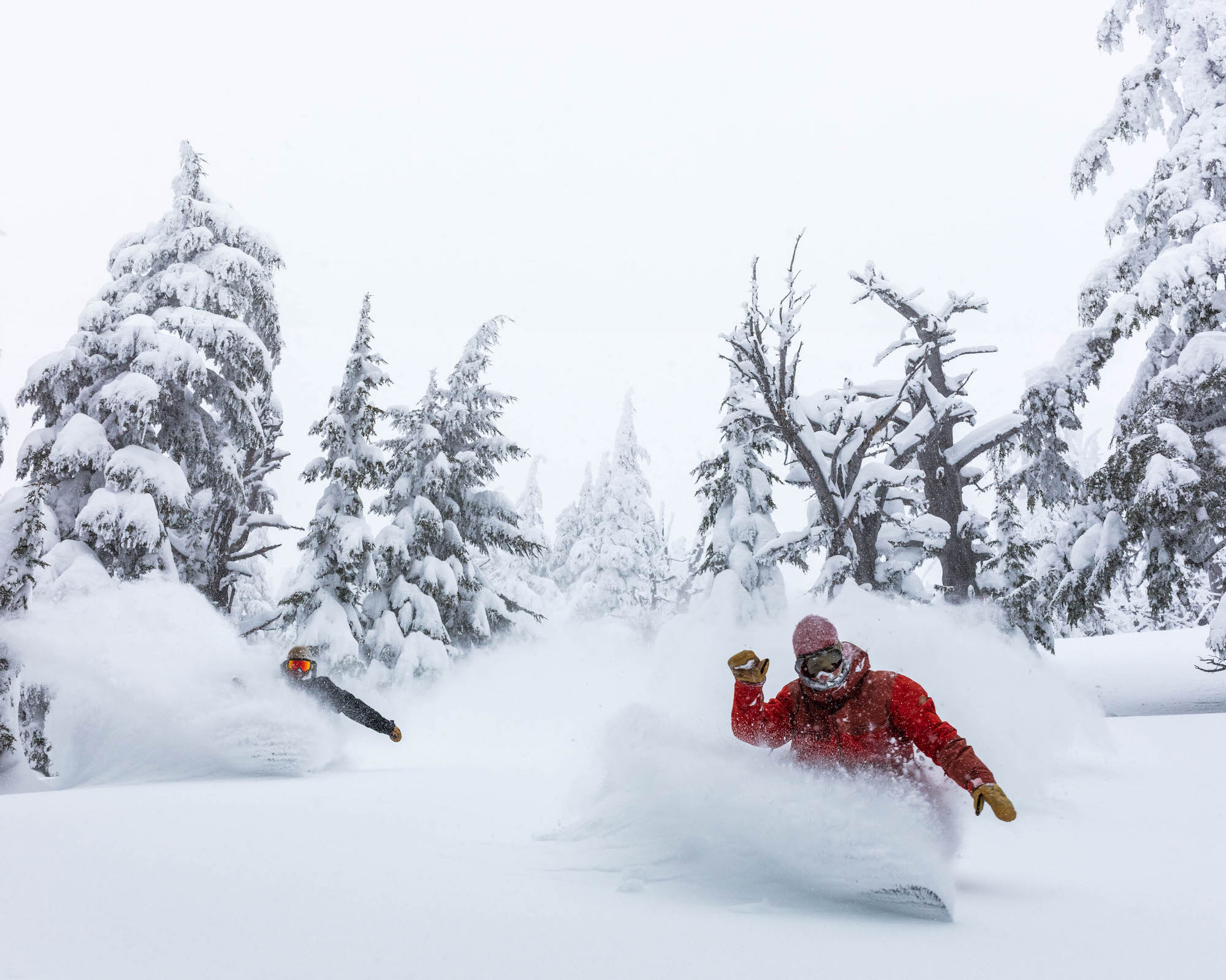 Mathieu Crepel SHAKA