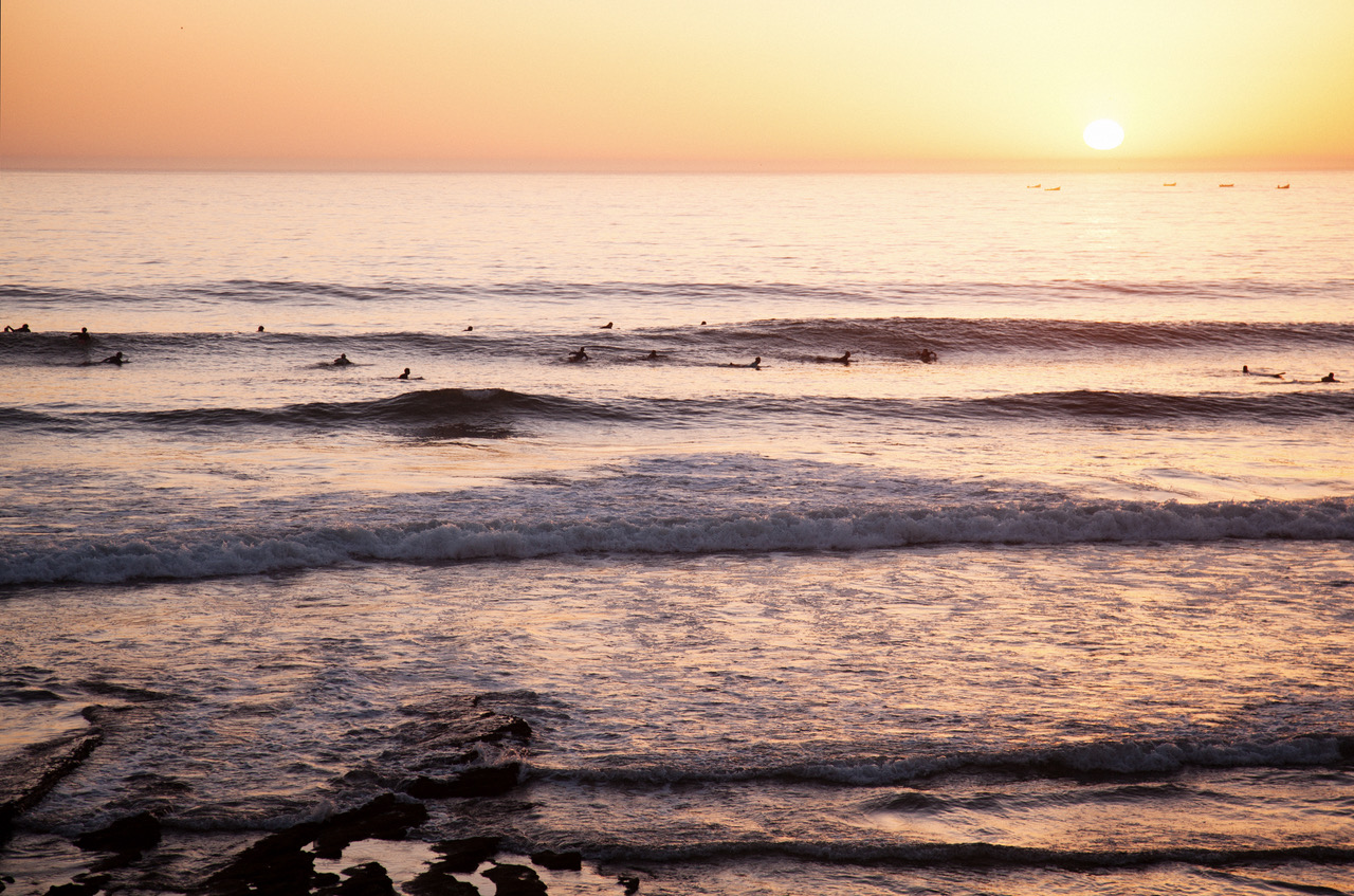 Surfer kennenlernen