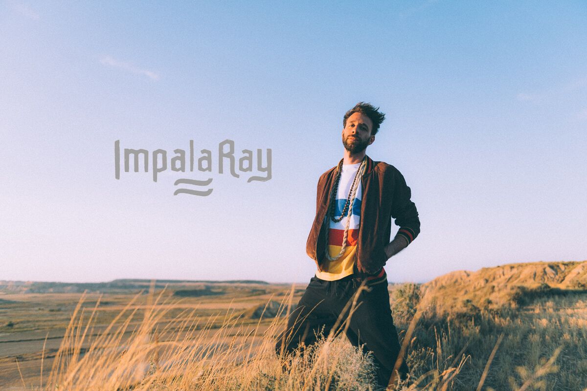 impala-ray