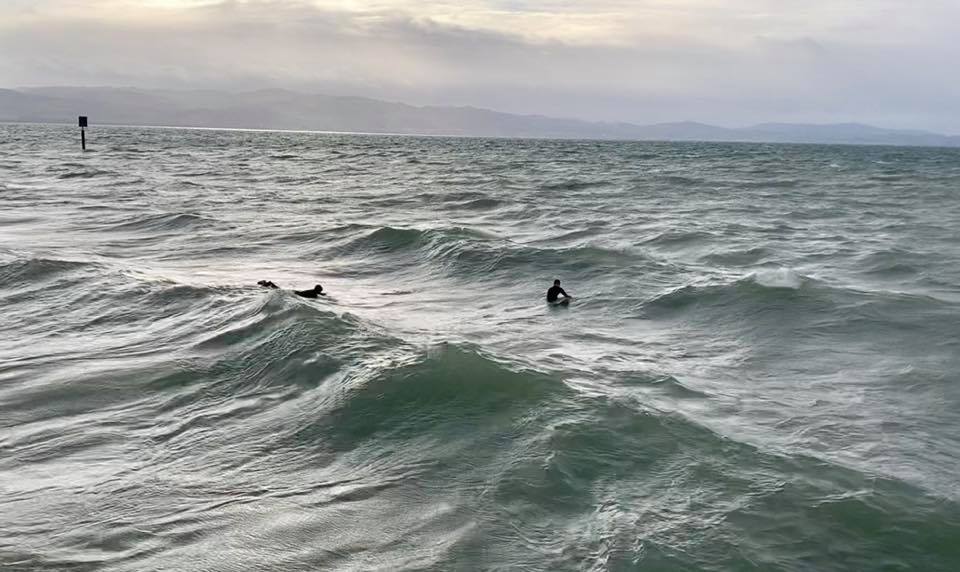 Wellenreiten Bodensee