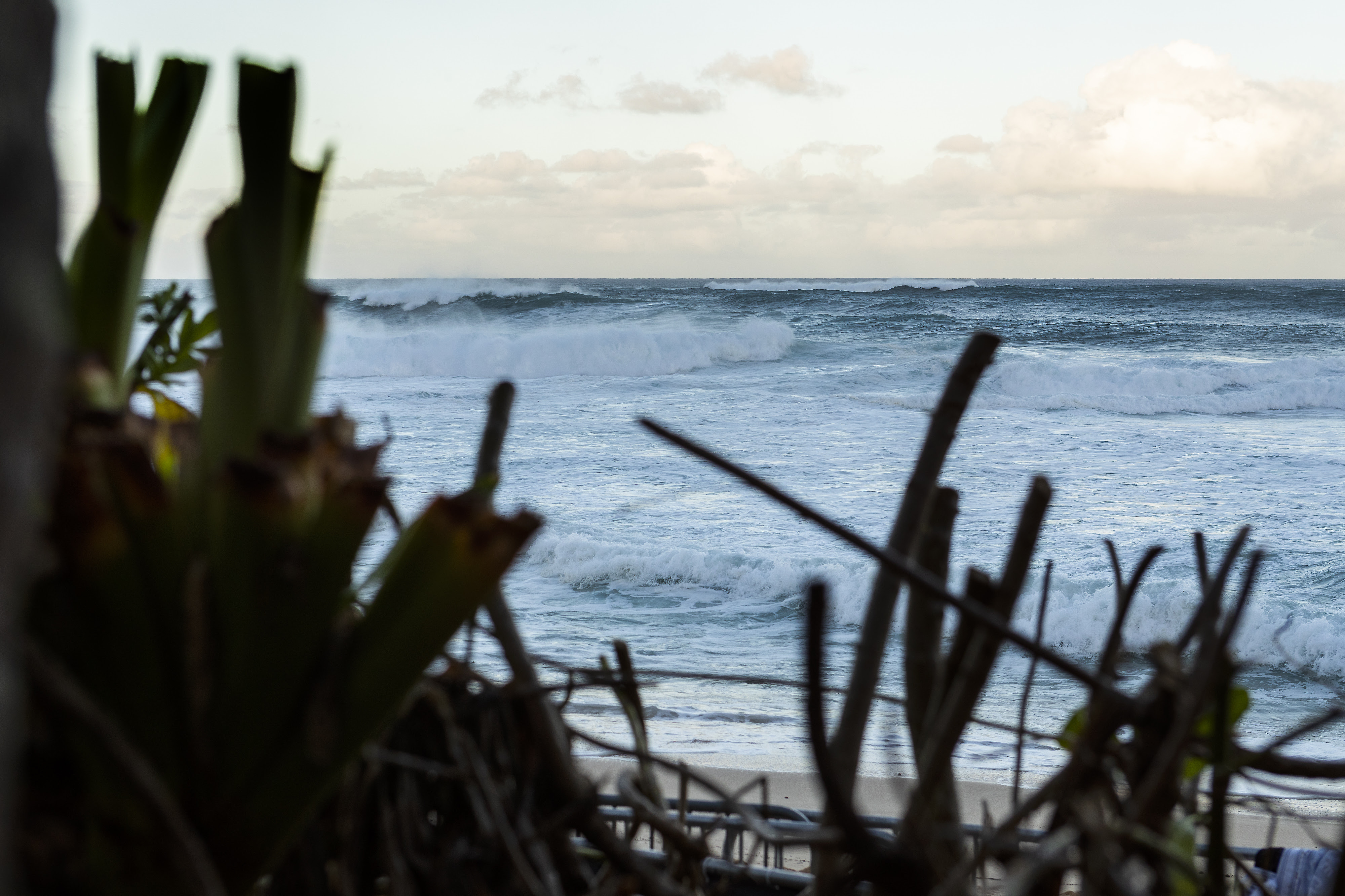 pipe-masters