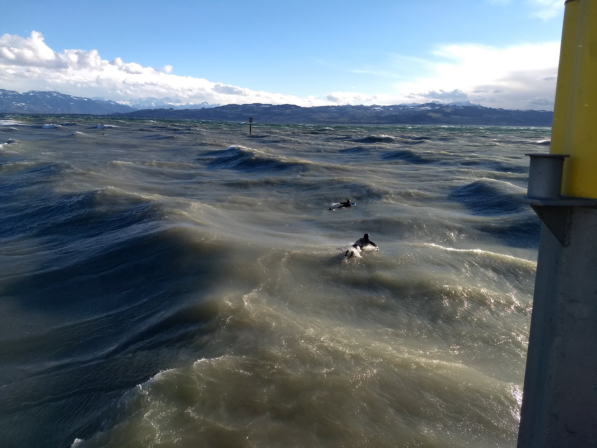 credit: Joey Melouny credit: Joey Melouny