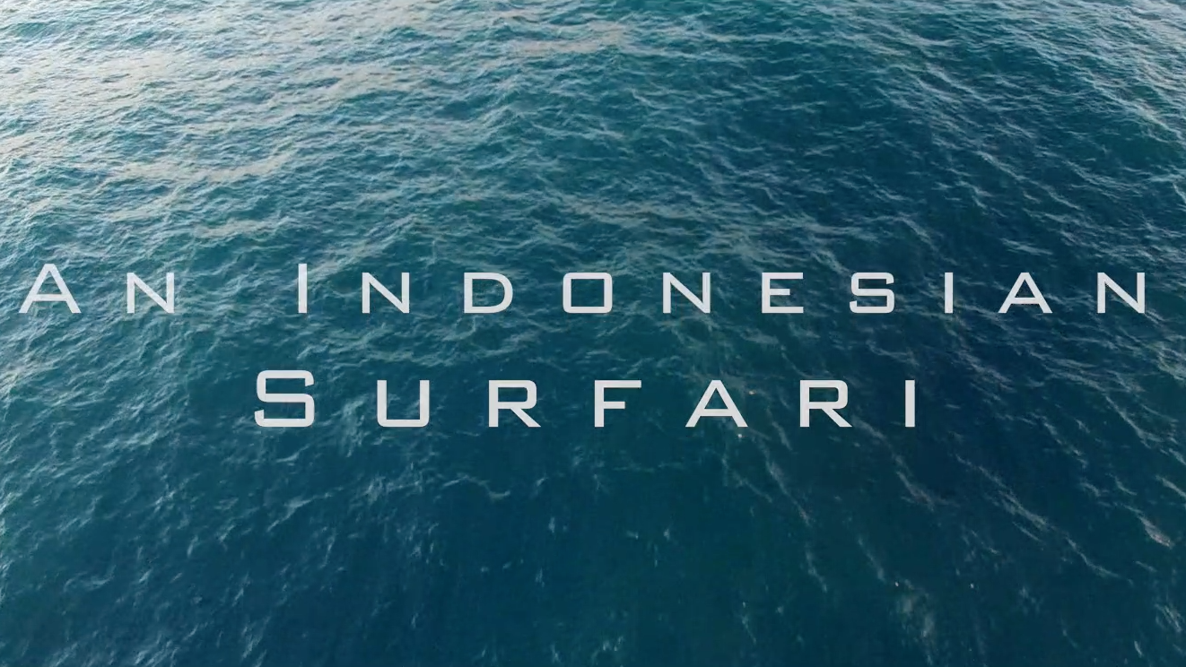 An Indonesian Surfari