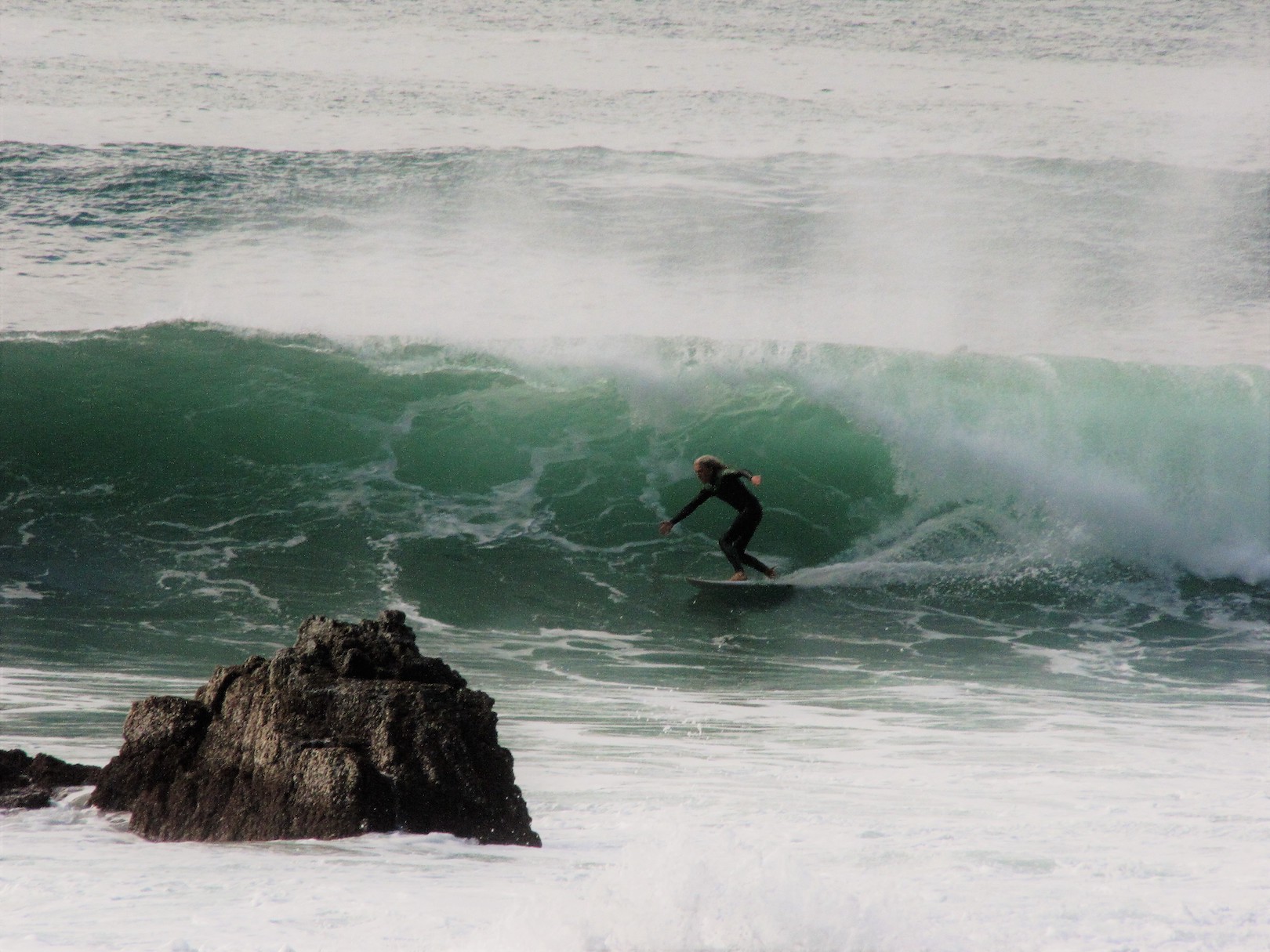 credit: Annemarie van der Zwet