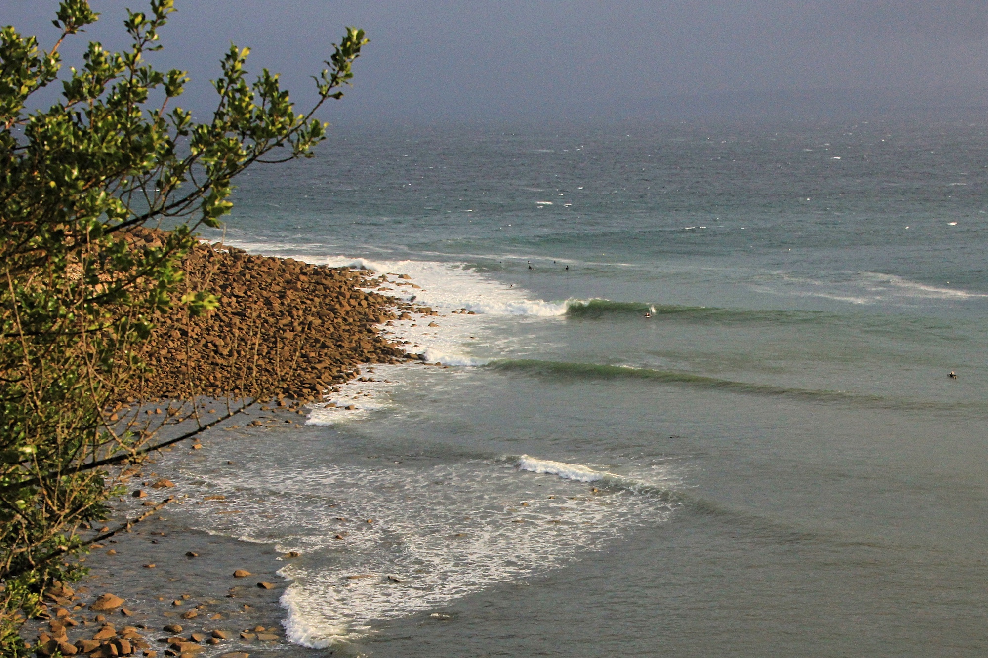 Tim Elter Bretagne surf
