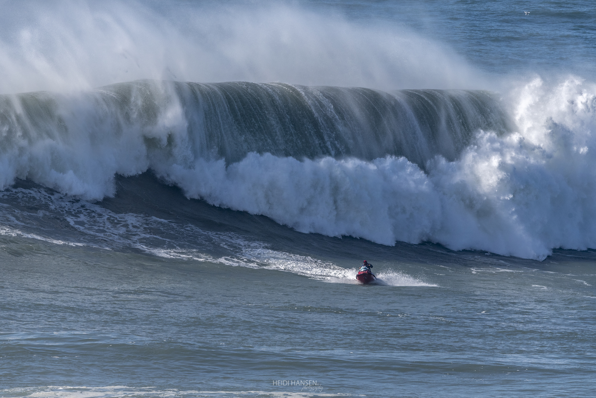 AlemaoDeMaresias_NZR_4488rc