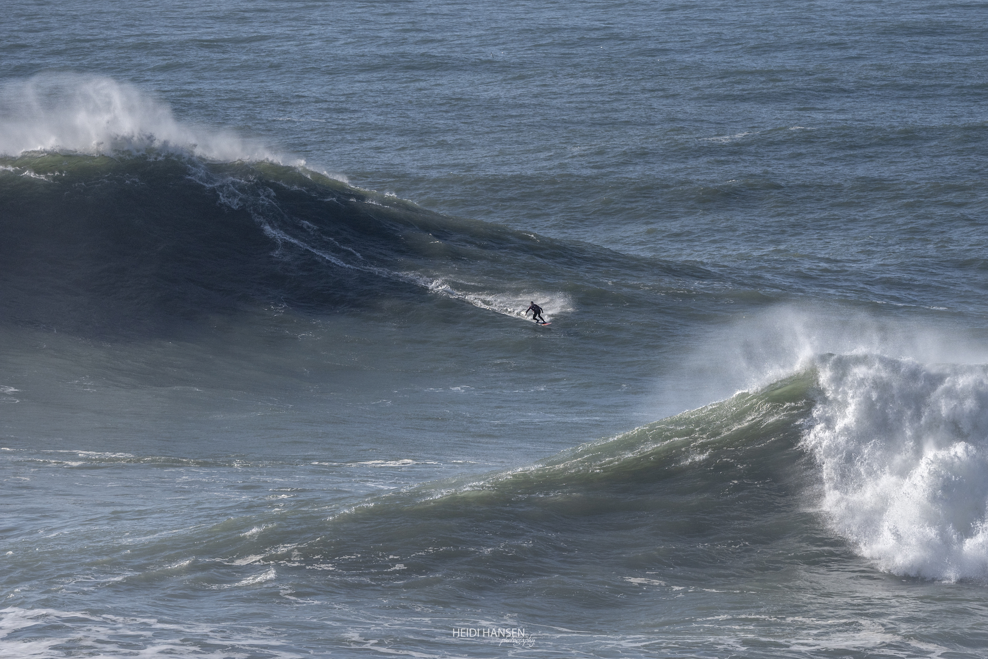 FranciscoRoqueDePinho_NZR_4658rc