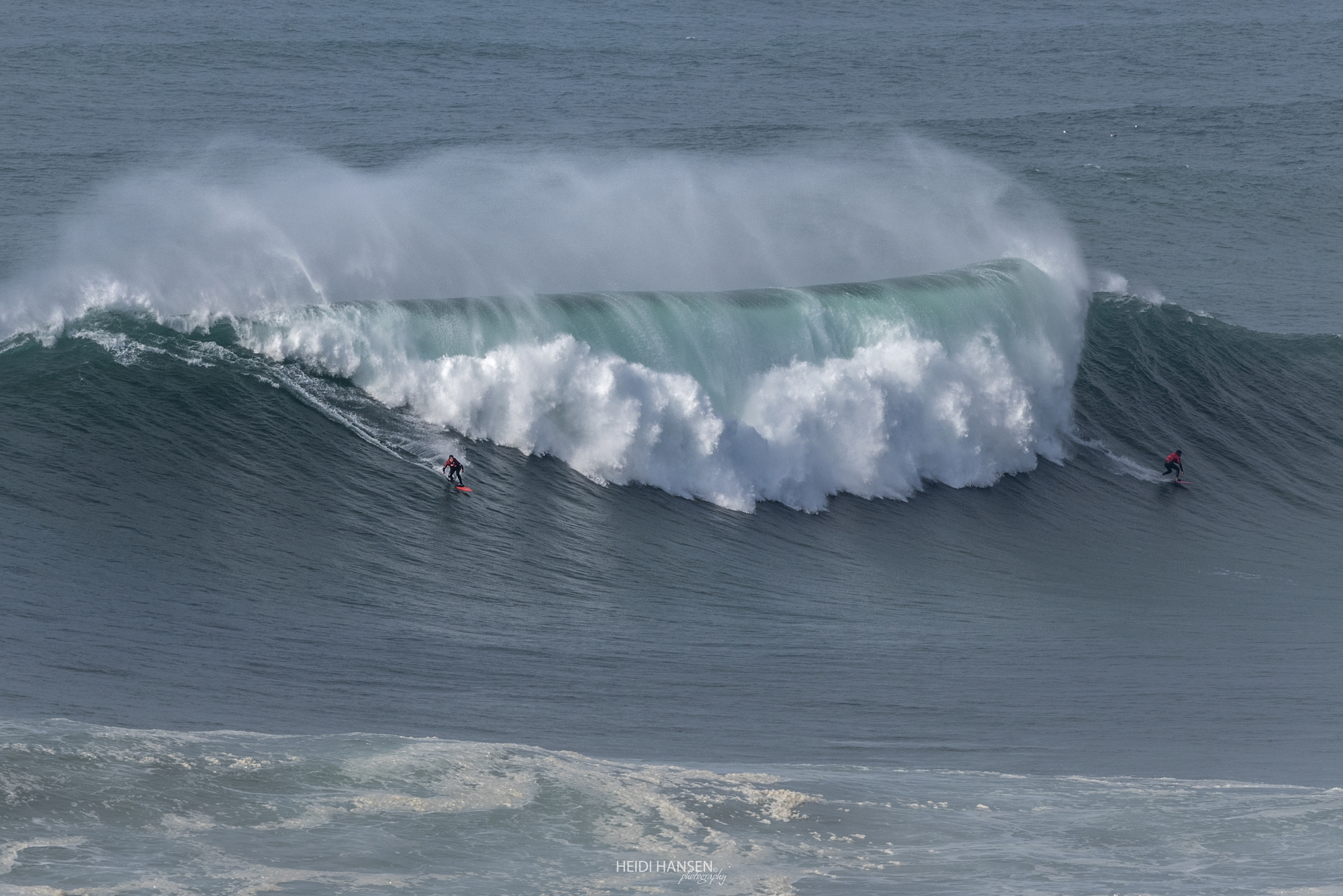 FranciscoRoqueDePinho_Rafael Tapia_NZR_1826rc