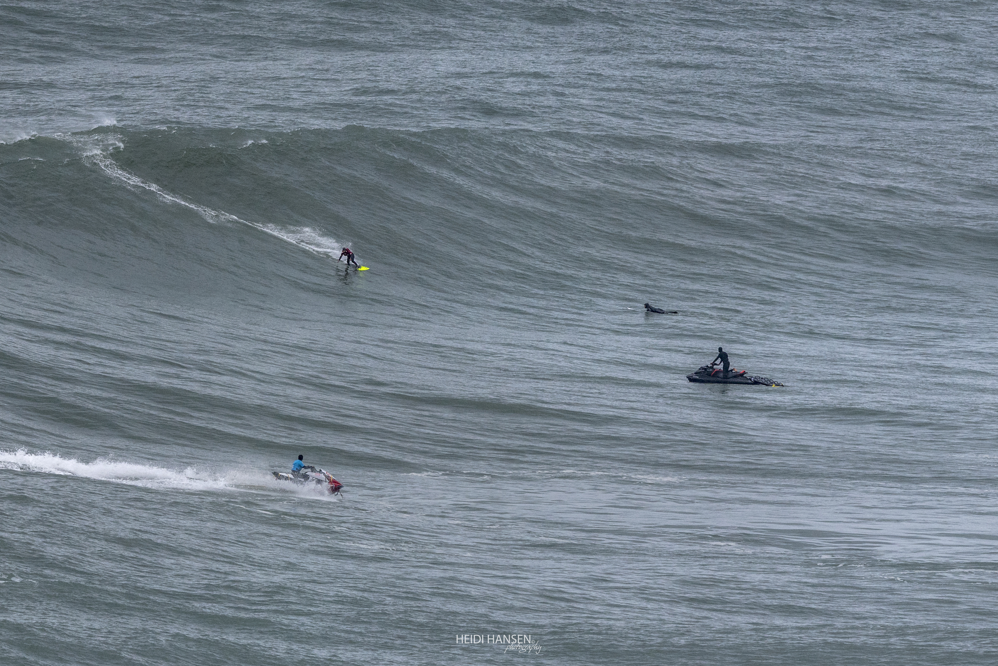 JoanaAndrade_NZR_3450rc