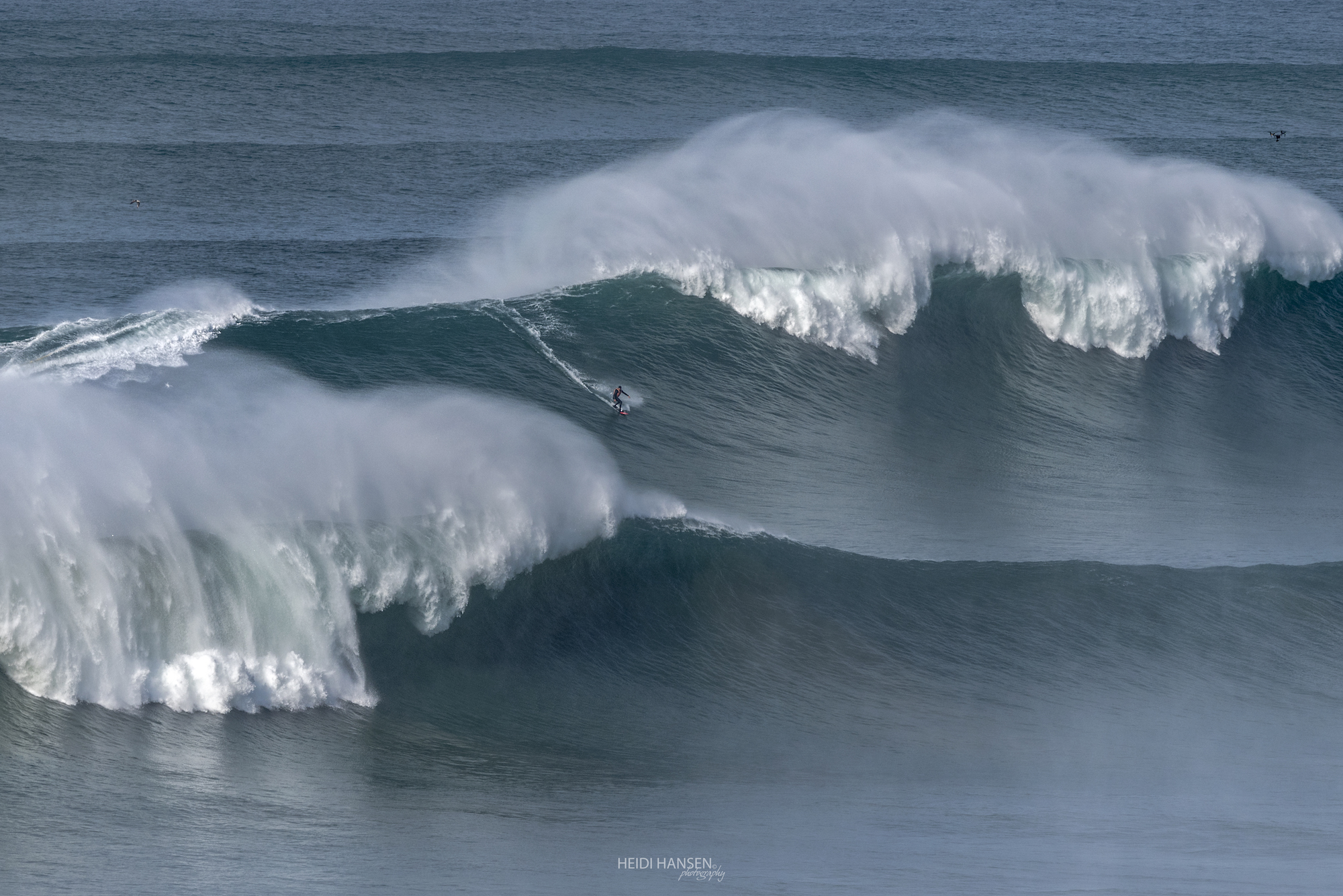 JoaoDeMacedo_NZR_0806rc