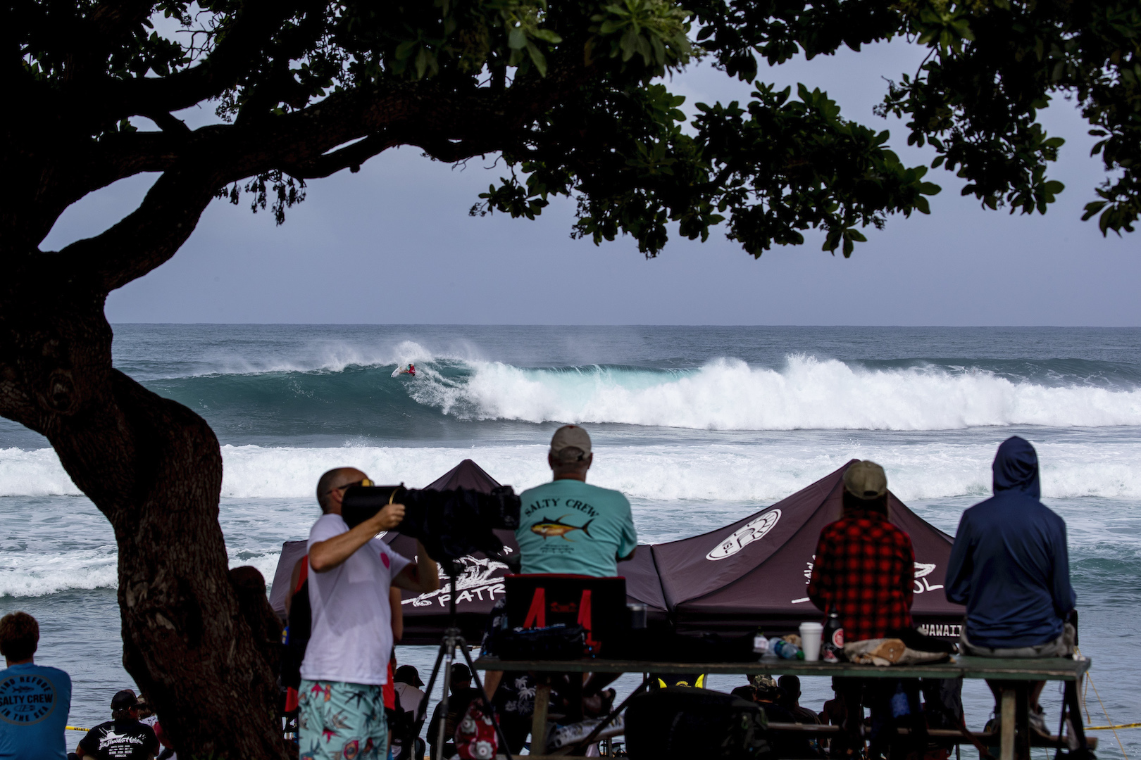 credit: WSL / Heff credit: WSL / Heff